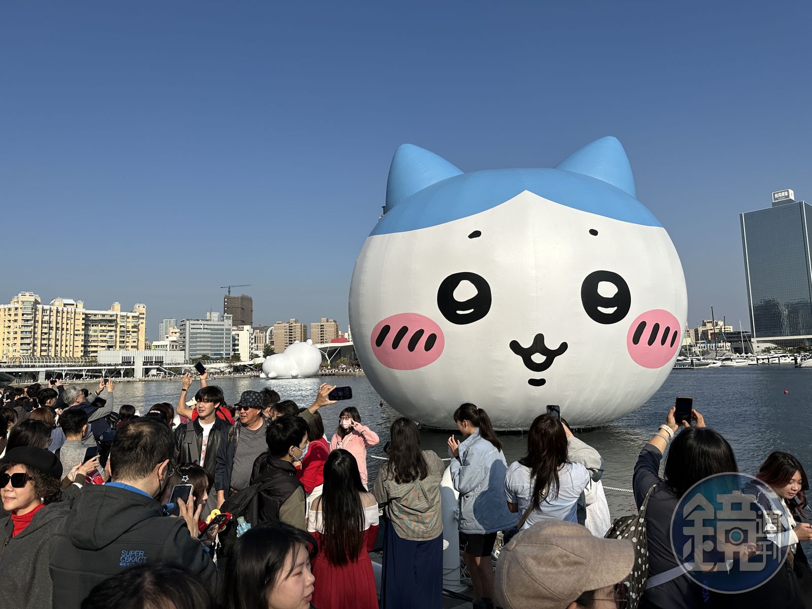 小八最近出現在高雄冬日遊樂園，吸引無數遊客朝聖搶拍。