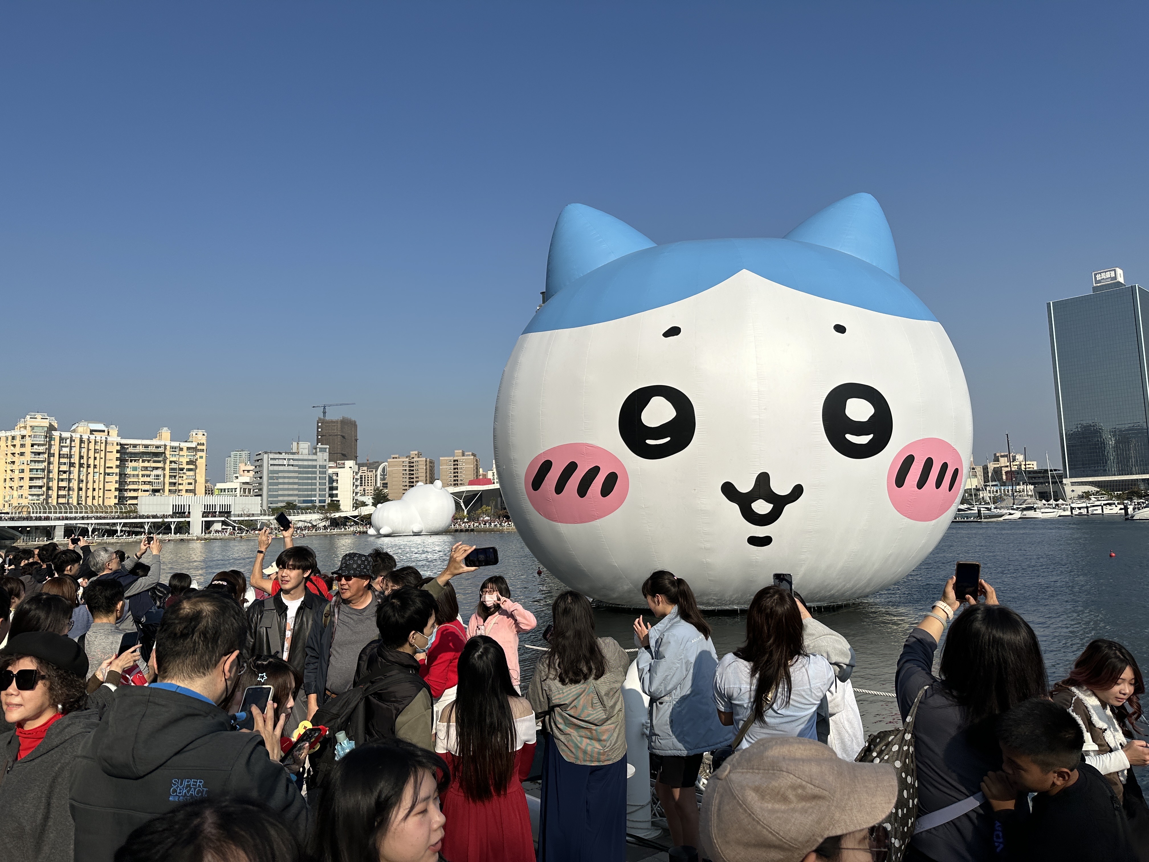 小八最近出現在高雄冬日遊樂園，吸引無數遊客朝聖搶拍。