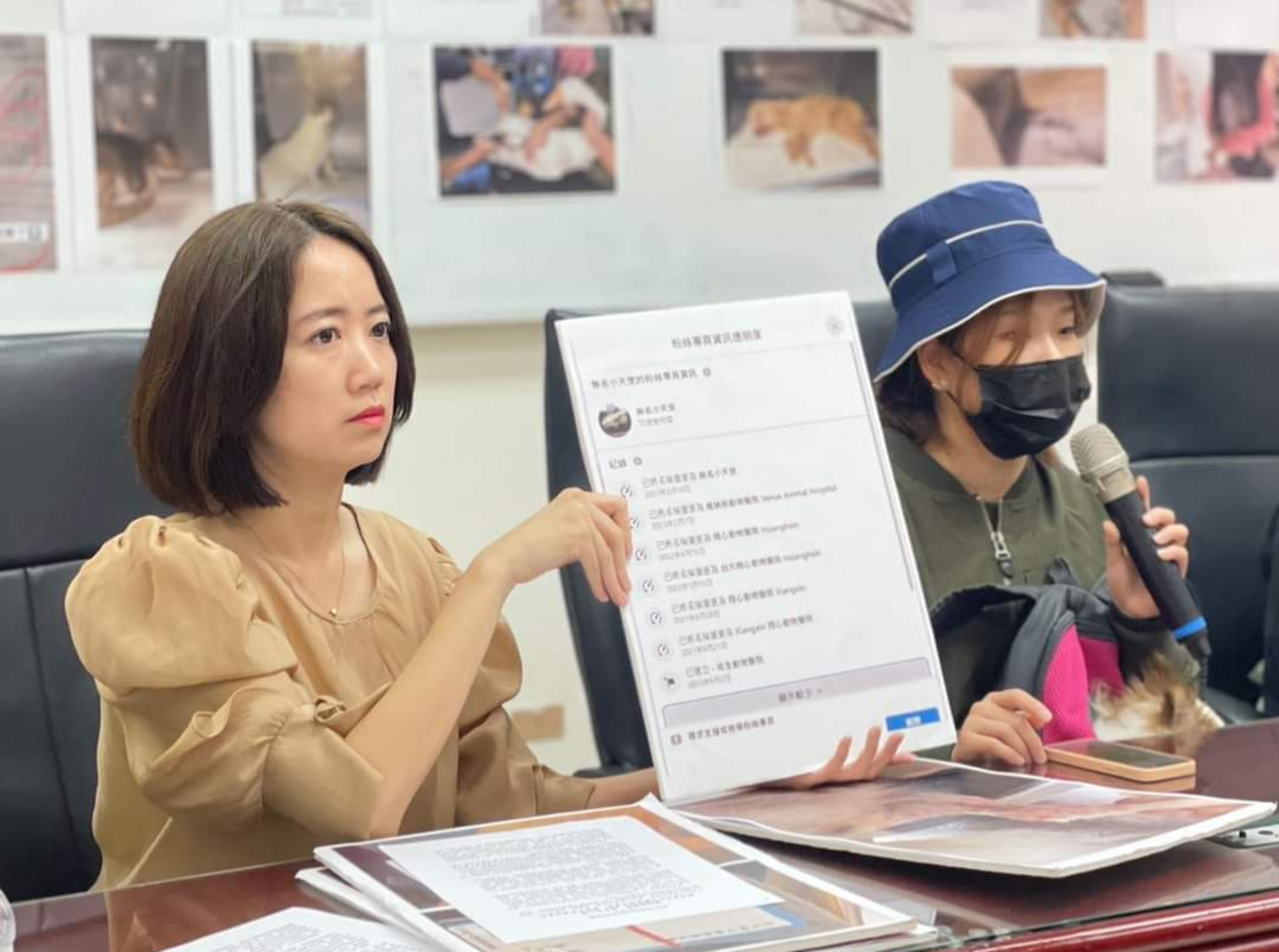 新北市議員戴瑋姍表示,國內爆出特定品牌貓飼料疑似導致貓咪低血鉀案件,呼籲市府修訂自治條例保障寵物食安。(翻攝戴瑋姍臉書)