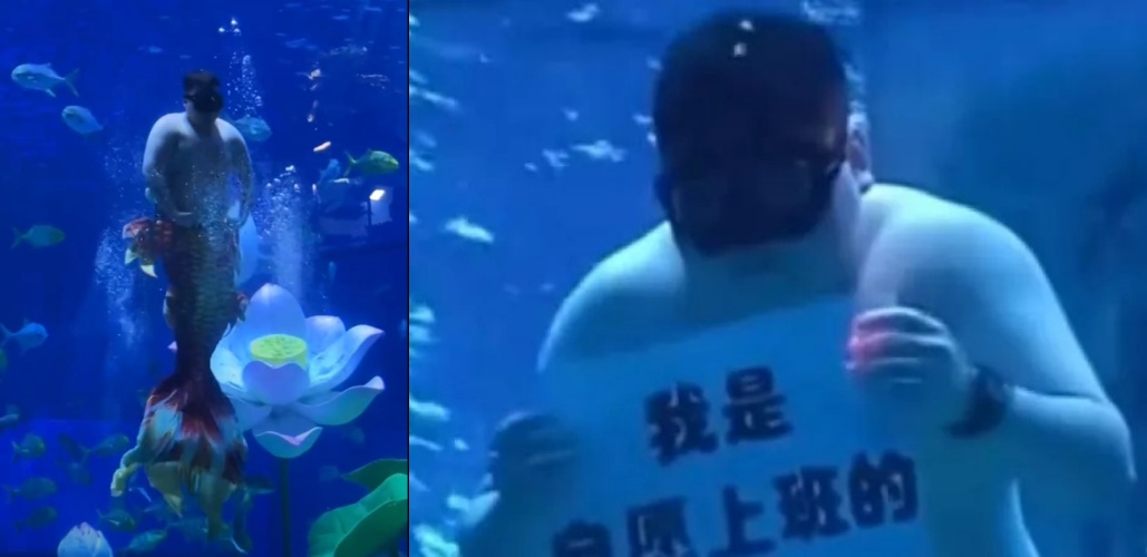 胖人魚出沒！115公斤潛水教練變身水中明星圈粉無數，觀眾直呼太療癒！（翻攝自tiktok @qqking1224 / 新黃河）