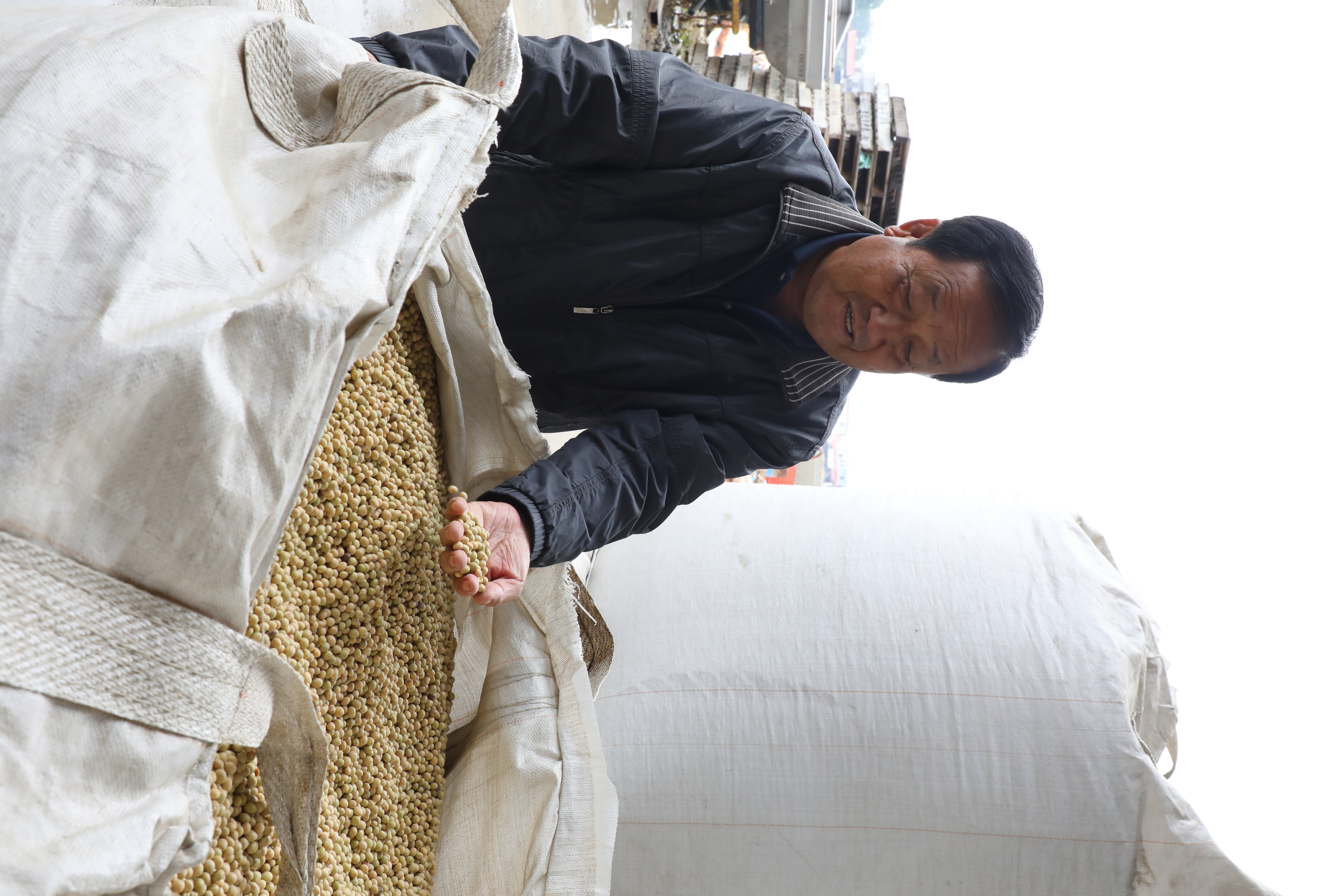 豆油伯近年不斷精進「單方豆」釀造醬油的工藝。