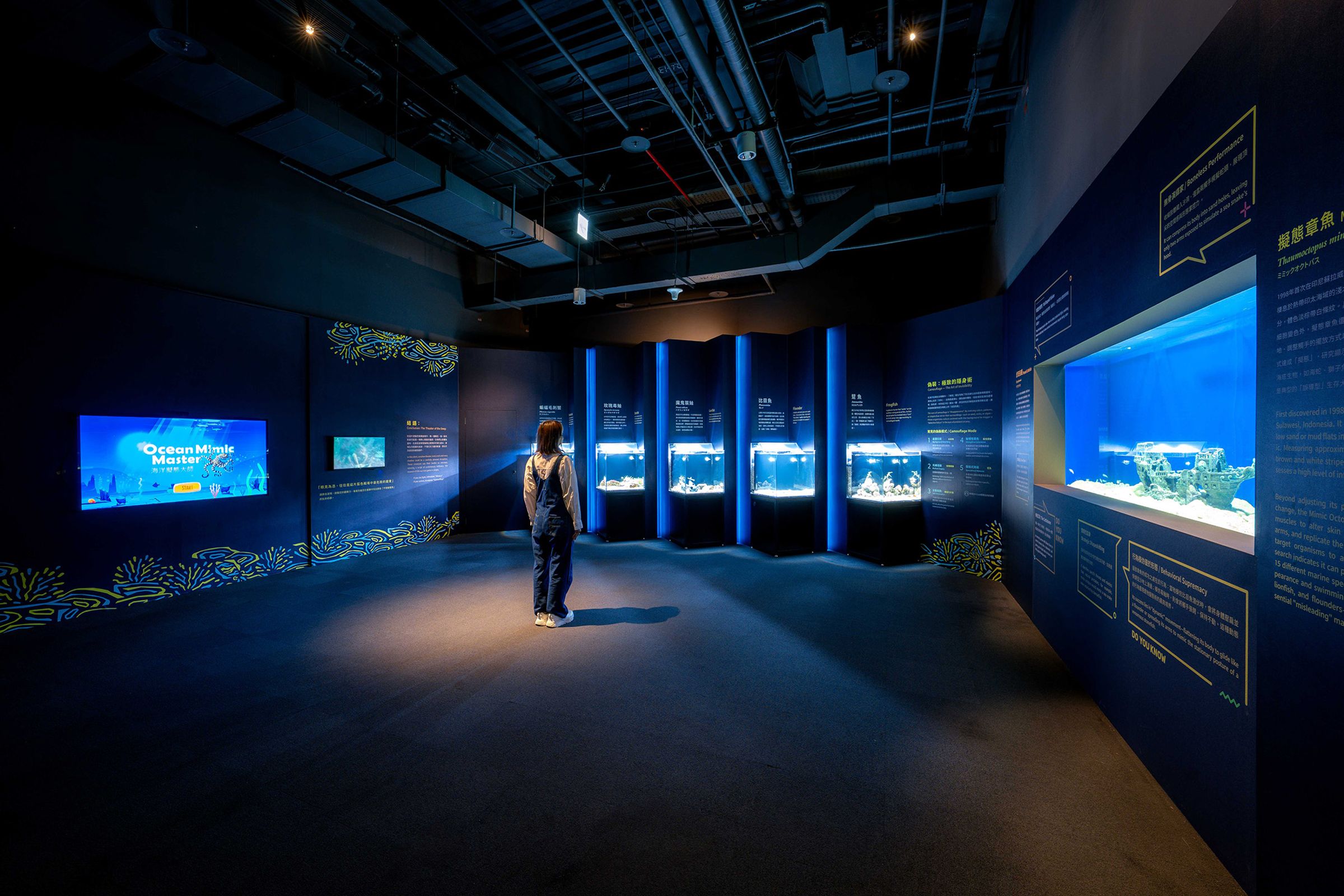 台中海洋館在今年夏天推出特展「海洋幻術師:擬態與偽裝大師」,讓大家認識海洋裡最厲害的偽裝高手。(台中海洋館提供)
