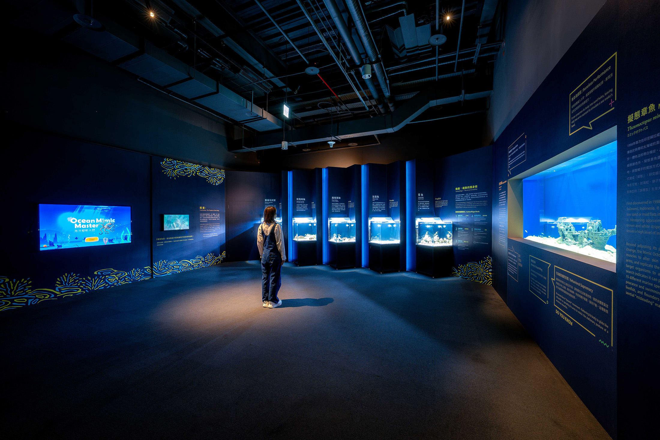 台中海洋館在今年夏天推出特展「海洋幻術師：擬態與偽裝大師」，讓大家認識海洋裡最厲害的偽裝高手。（台中海洋館提供）