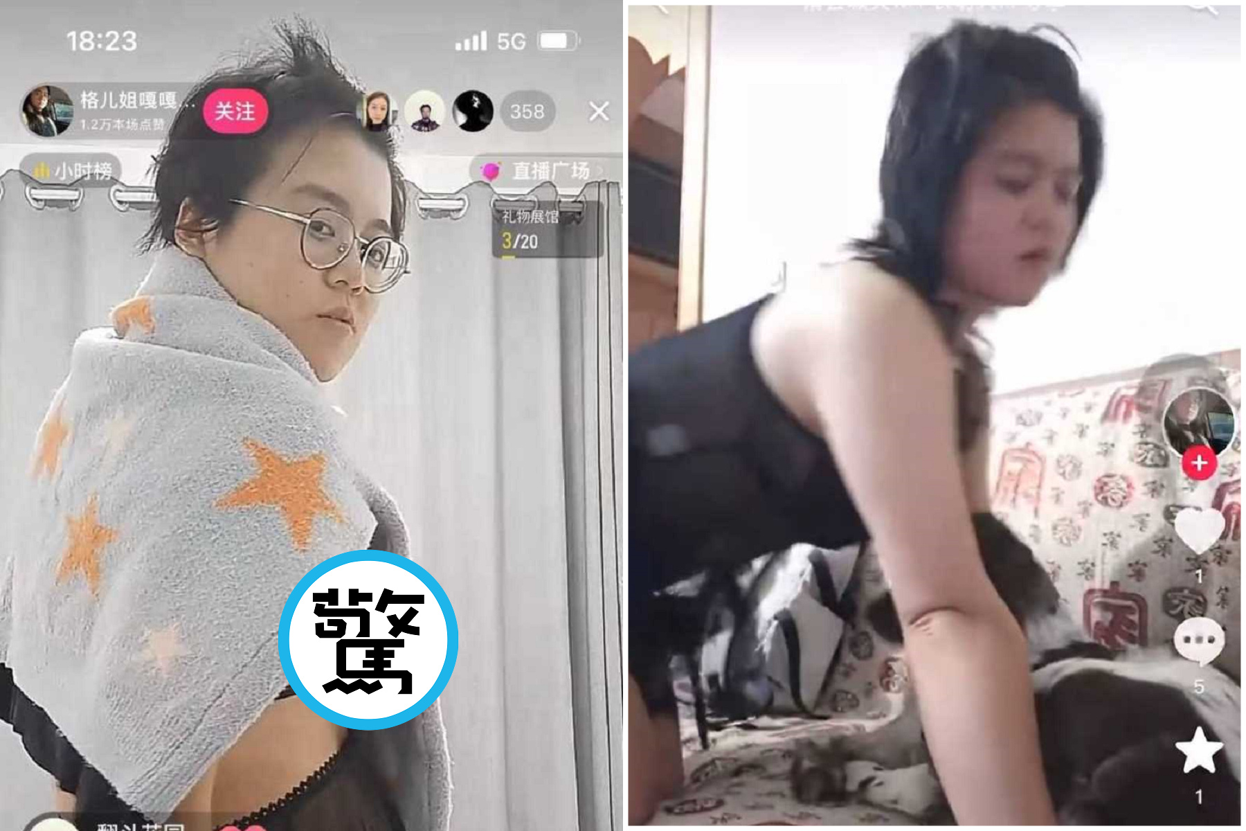 驚！愛狗女網紅傳性侵公狗，「拔不出來送醫」引網友熱議。（翻自《黑料網》）