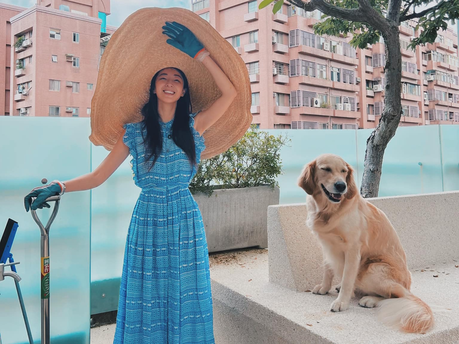 隋棠家裡不少採光設計，大片玻璃也很多。（翻攝臉書）