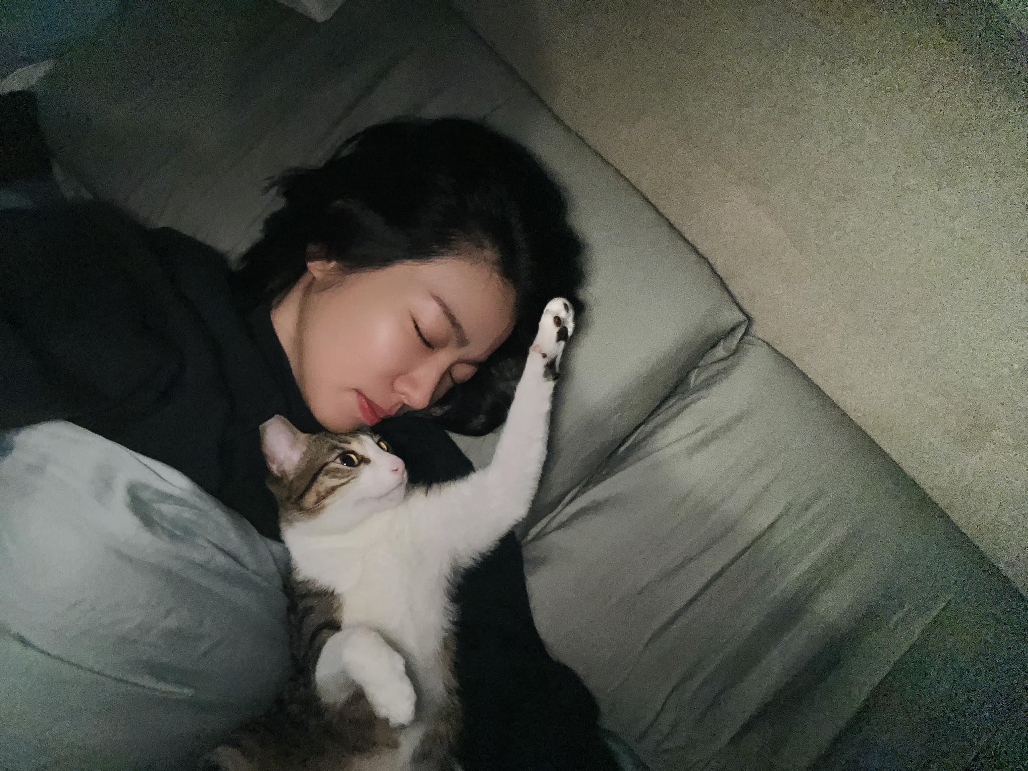 女星米可白長期關注流浪貓狗議題，她今感嘆po文，「這個世界上，真的存在太多惡魔。」（翻攝自米可白臉書）