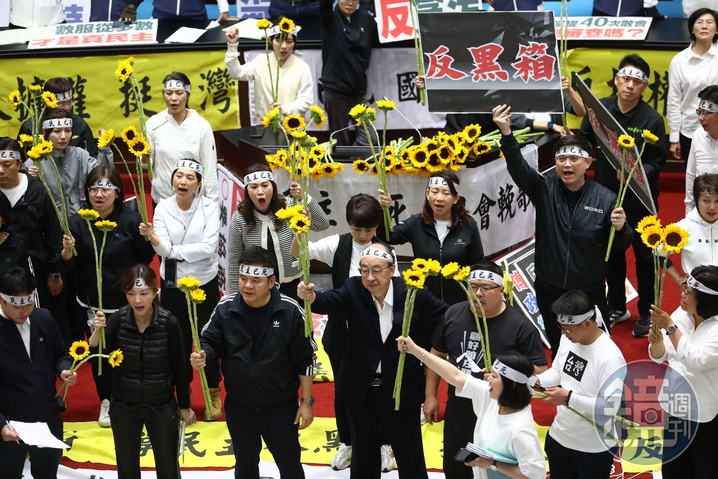 民進黨立委昨（21日）在議場手拿太陽花。
