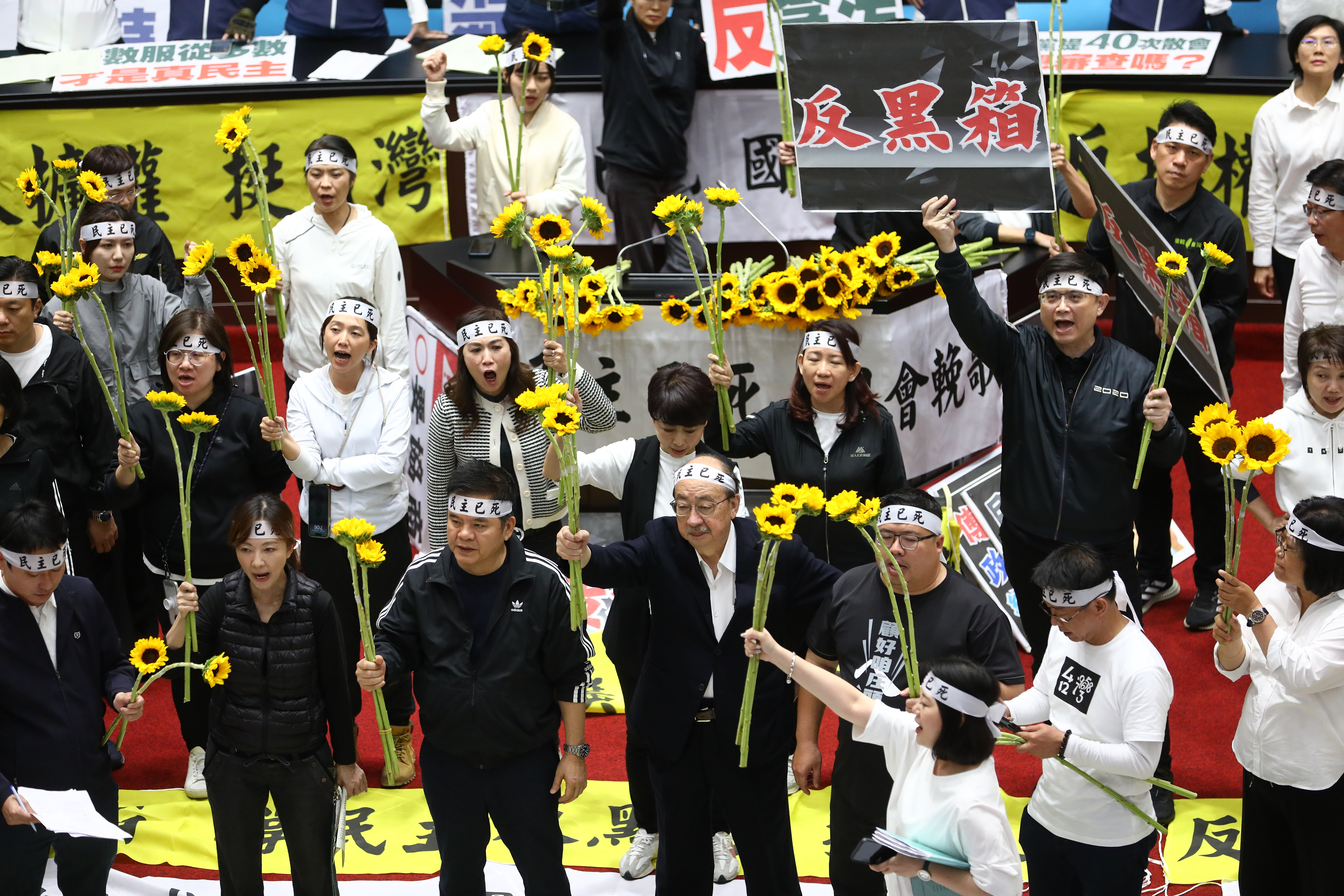 民進黨立委昨（21日）在議場手拿太陽花。