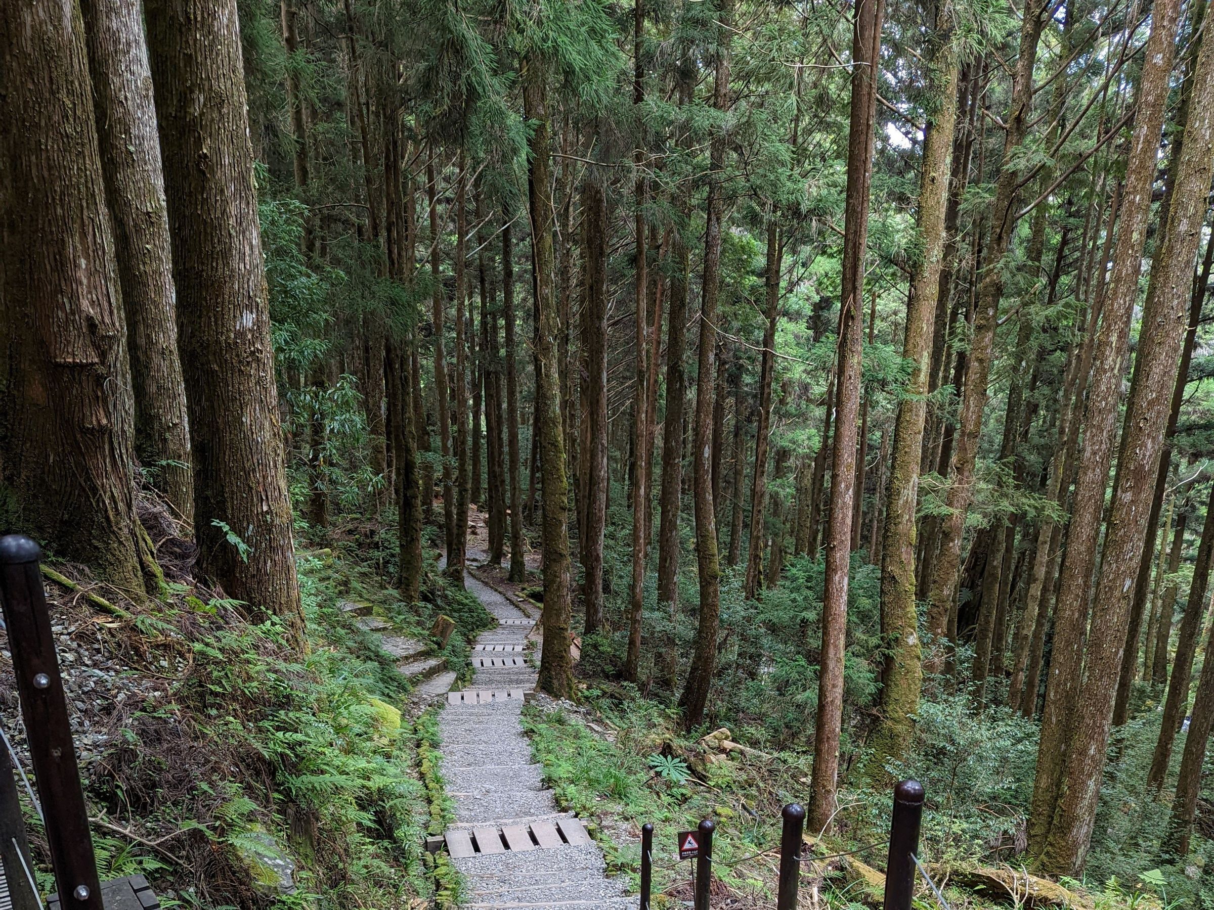 58歲陳先生登山後出現濃茶色尿液，就醫後確診脫水合併橫紋肌溶解症引發急性腎損傷。（翻攝自pexels）