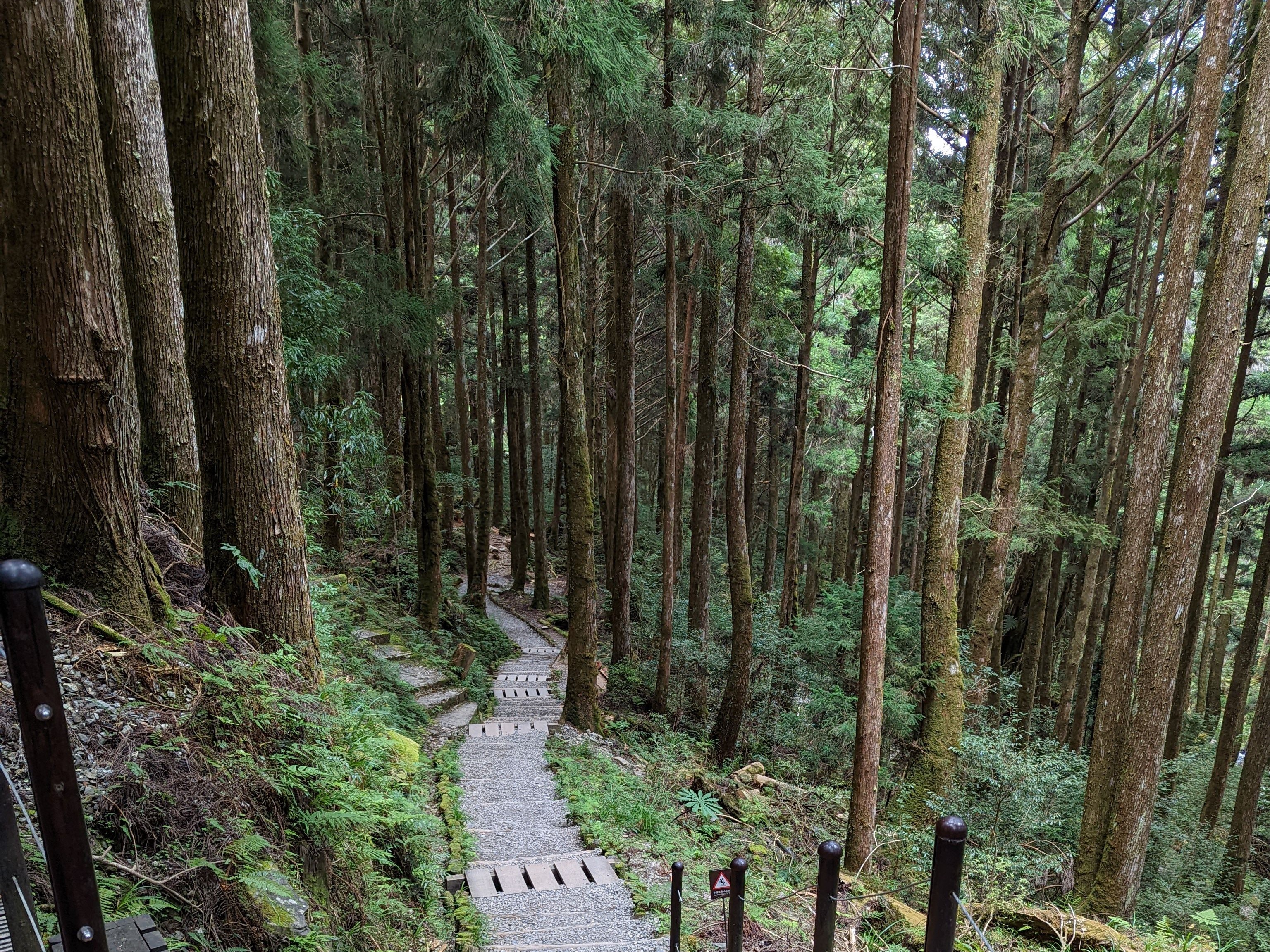 58歲男爬山6小時「口渴才喝水」! 隔天尿出濃茶色急性腎衰竭