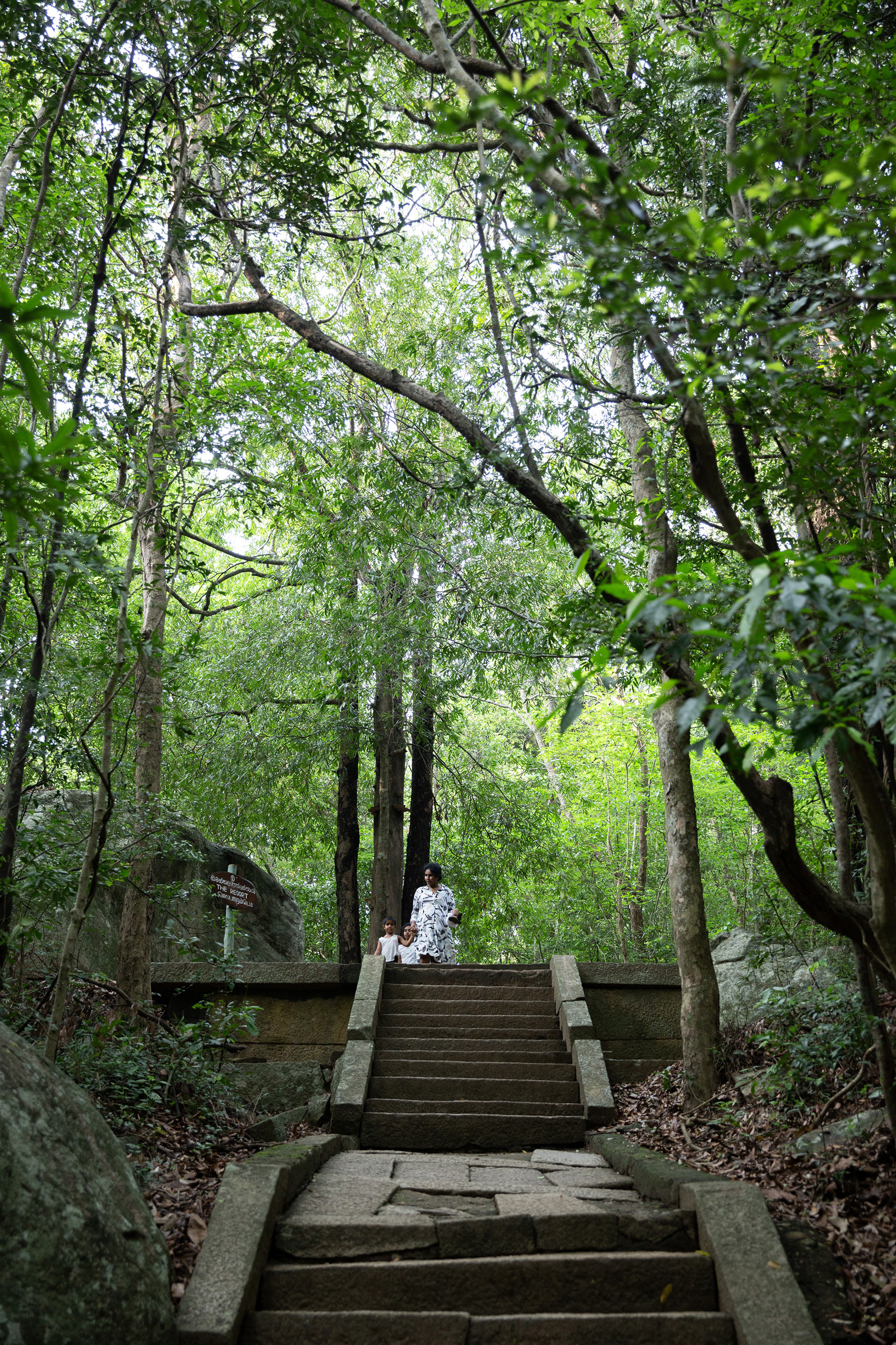 隱身叢林的苦行派修院遺址「瑞提加拉森林修院」，沒有華麗裝飾，只有樸實的石階與平台。