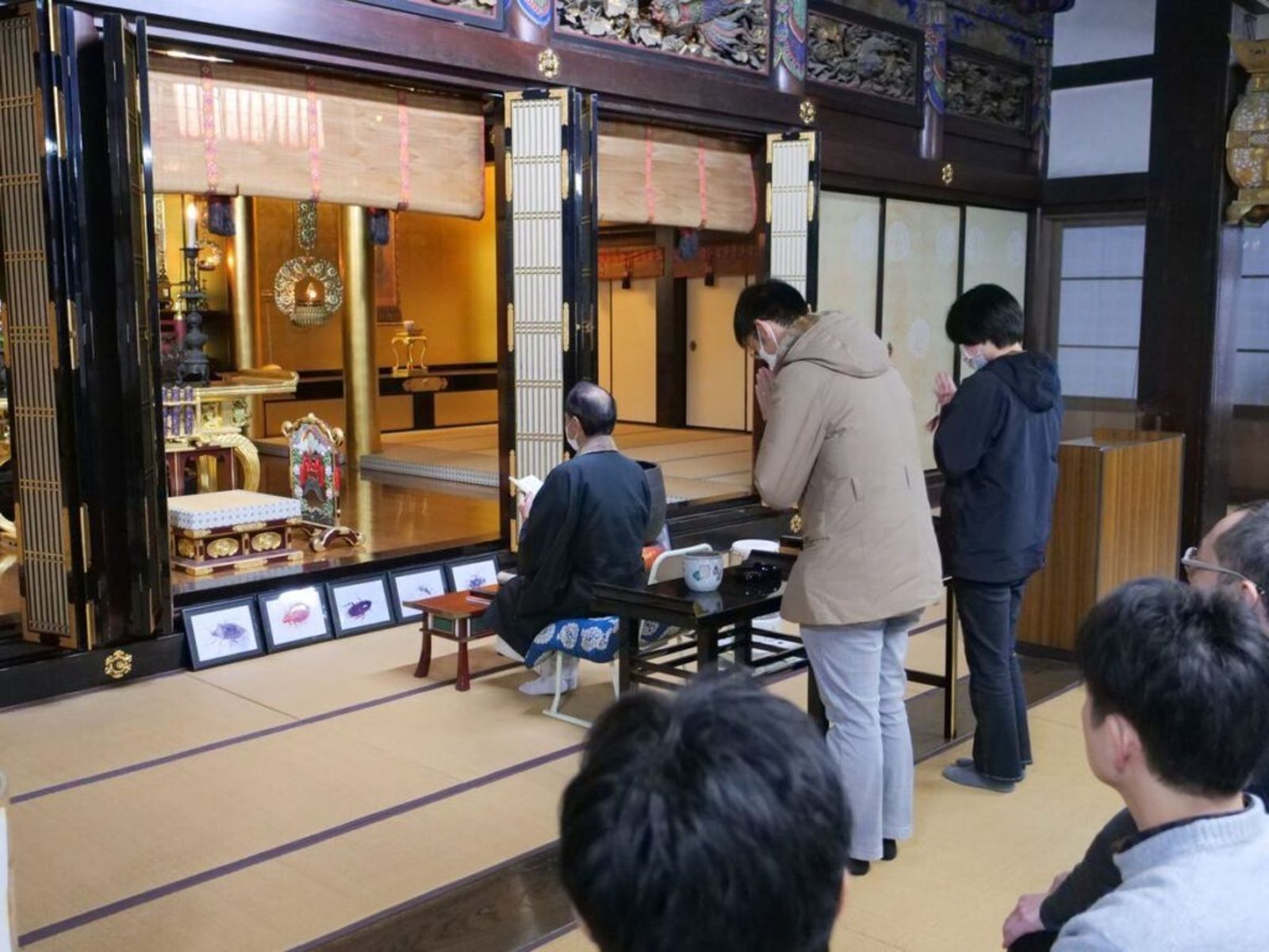 感謝蟲蟲犧牲奉獻！殺蟲劑公司辦追悼會 師父對蟑螂、蚊子遺照誦經 鏡週刊 Mirror Media