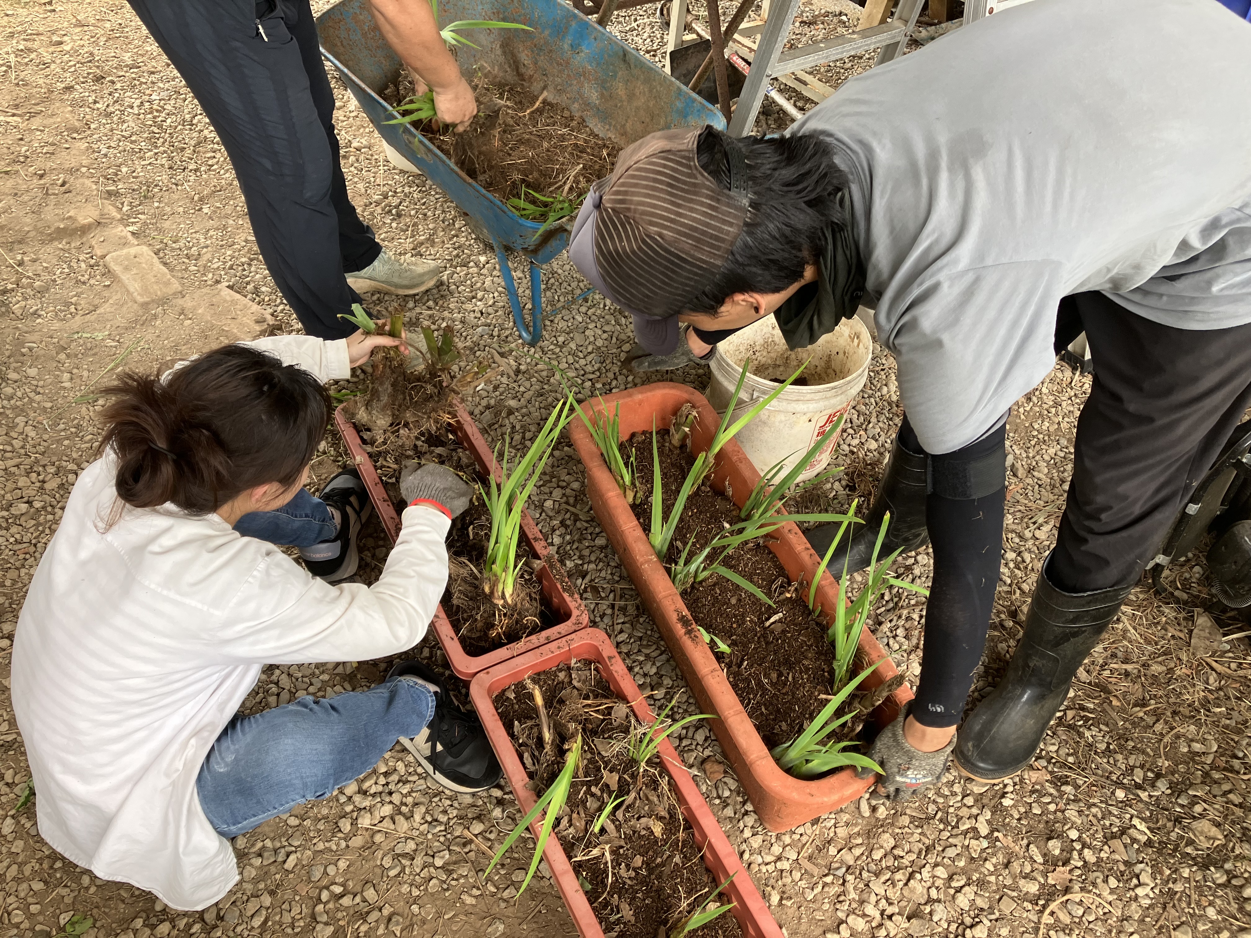 天河基金會將提供學貸族獎勵金減輕壓力。（天河基金會提供）