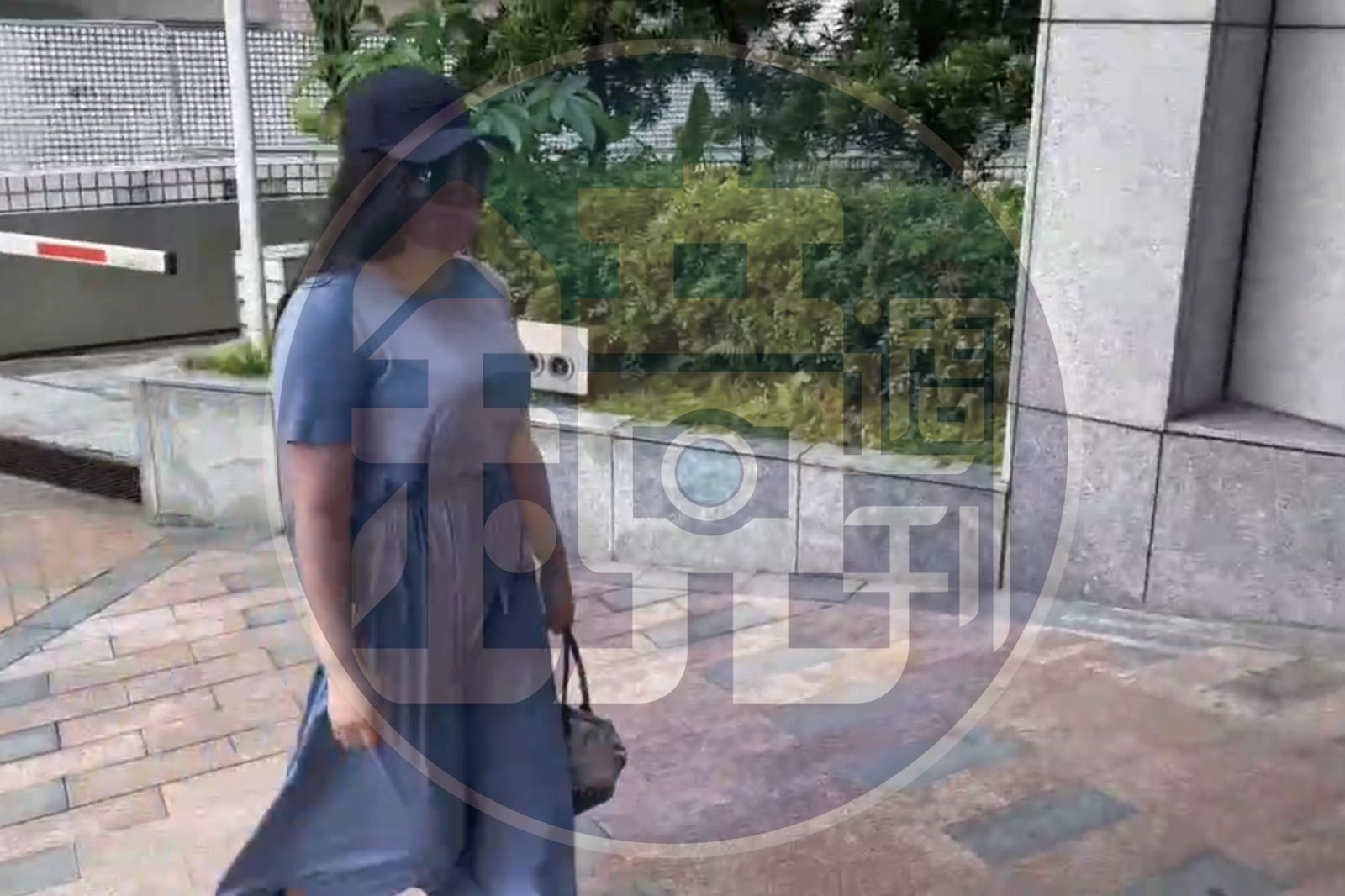獨家／王文洋包養產子案開庭 女大生現身法院畫面曝光