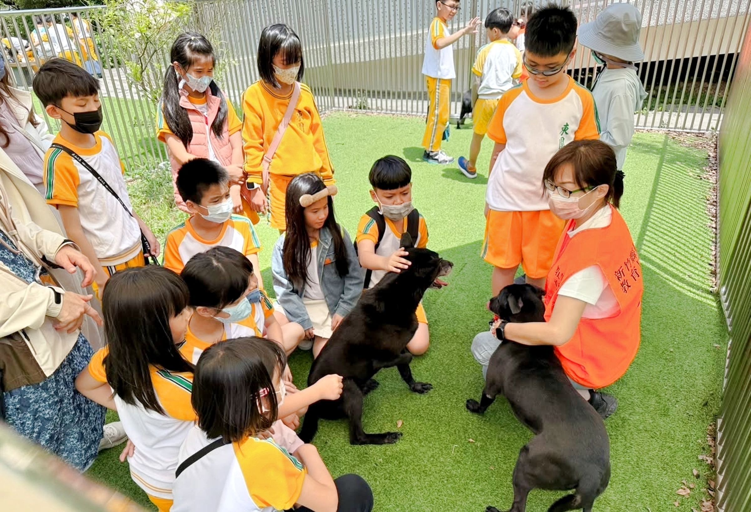 縣府動保所定期招募志工，邀請民眾加入關懷收容犬貓的行列。（新竹縣政府提供）