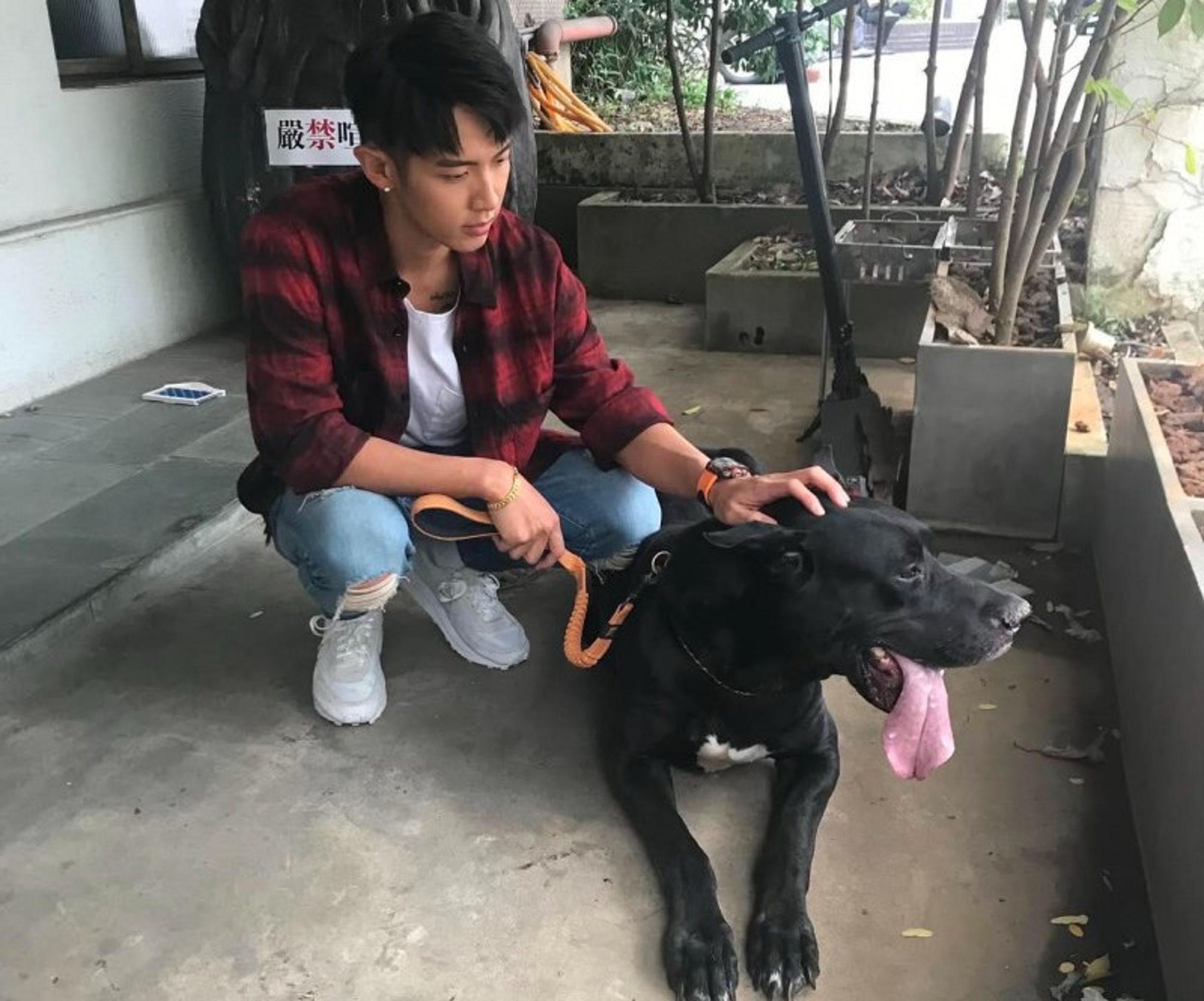 柯震東愛犬Max離世,他謝謝陪伴近10年的愛犬讓他很開心。(翻攝自柯震東IG)