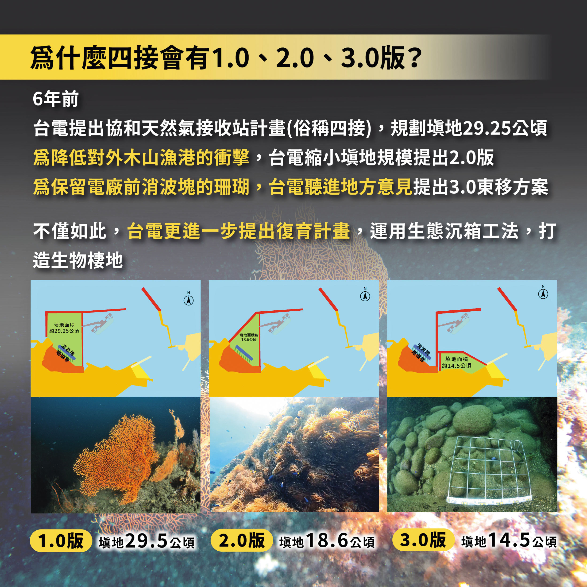 位於基隆的台電四接,為避免影響生態,採用沉箱生態工法興建。(台電提供)