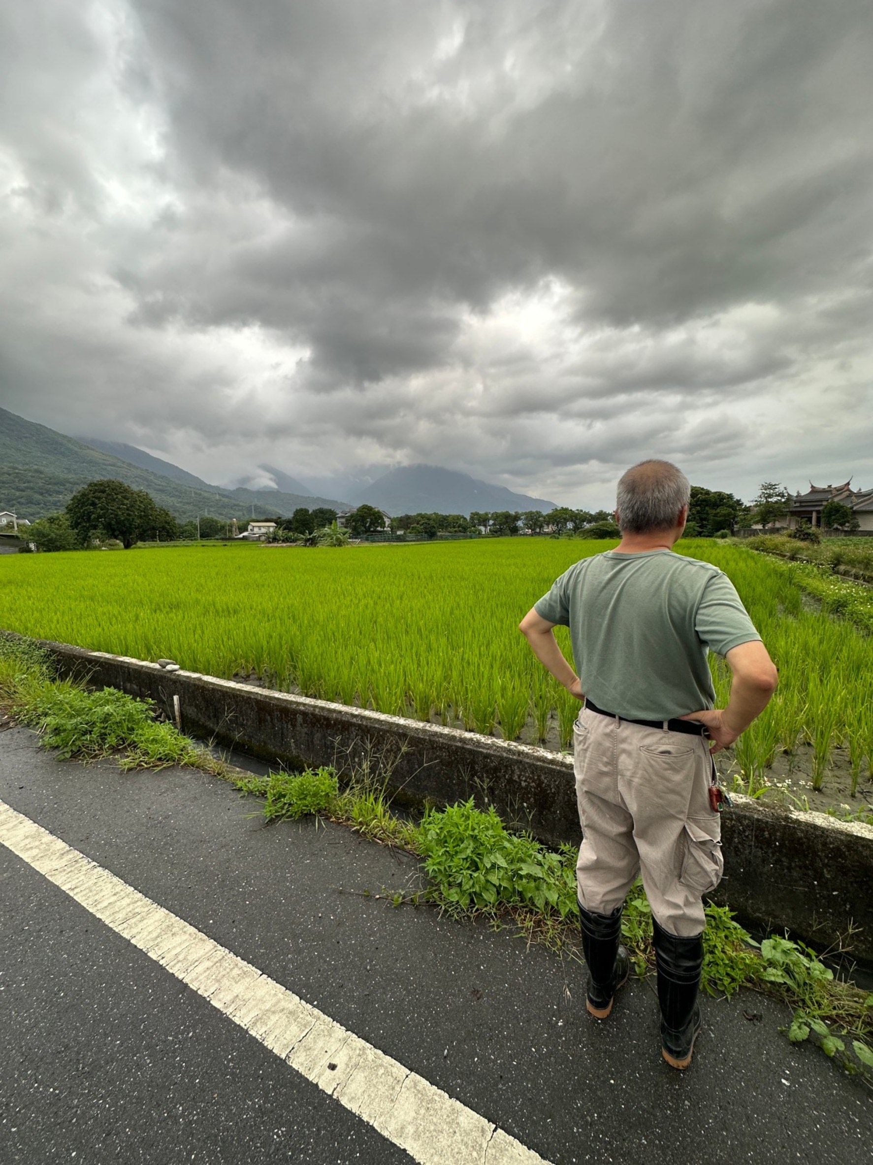 慈濟協助當地農業升級推動符合東部地區的農業碳權,已經進行到第二期的種碳計畫。(慈濟大學提供)