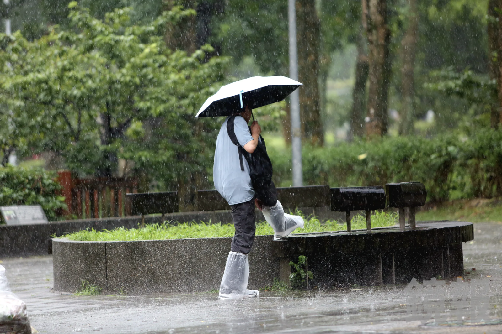 週三東北季風報到「桃園以北轉雨降溫」 雲林以南慎防午後大雨