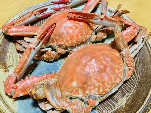 醫生建議食用海鮮食品最好徹底煮熟，以免食物中毒或吃進寄生蟲。（示意圖，photoAC）