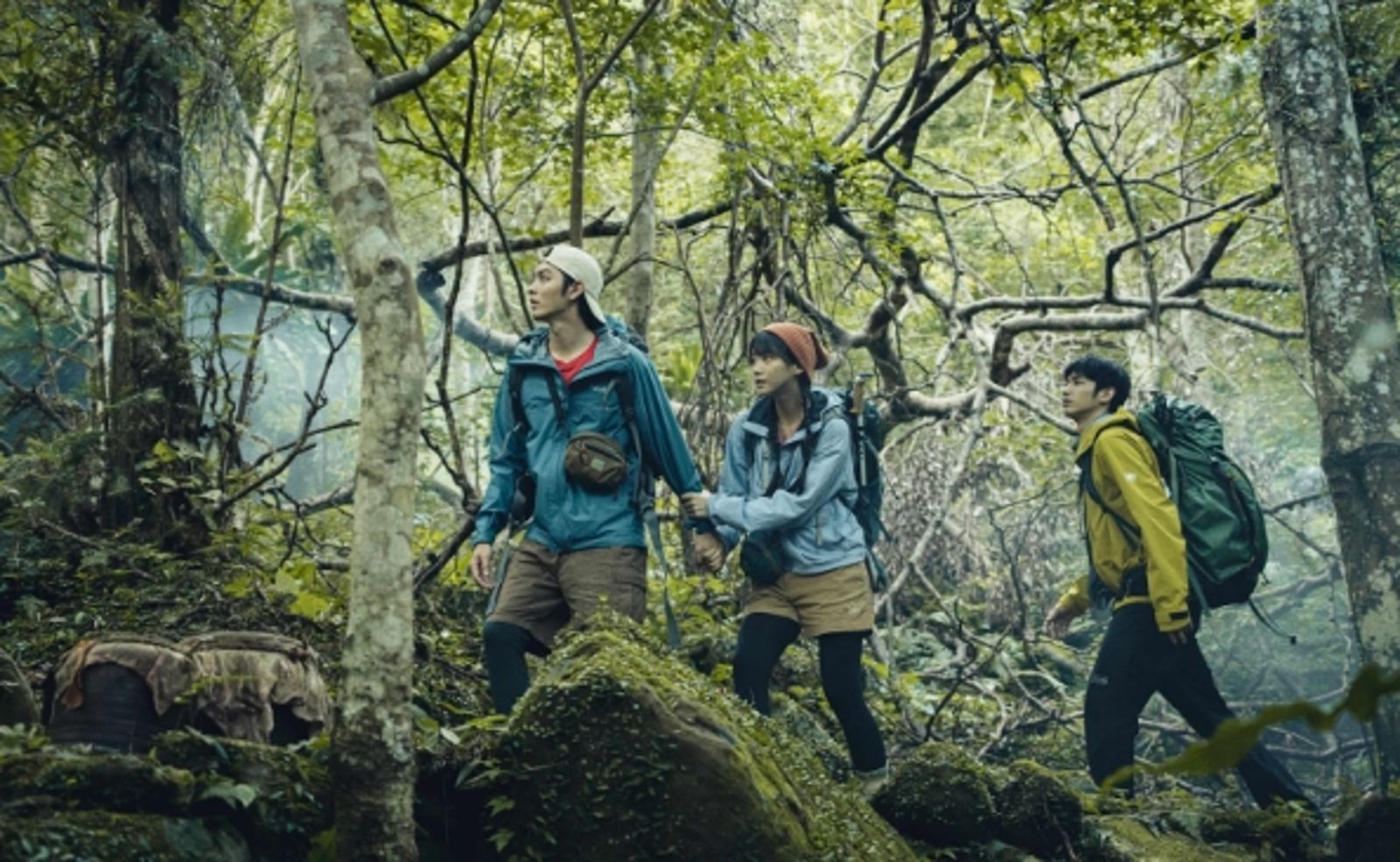 台灣山林傳說走向世界　《山忌》票房亮眼、8月亞洲接連上映