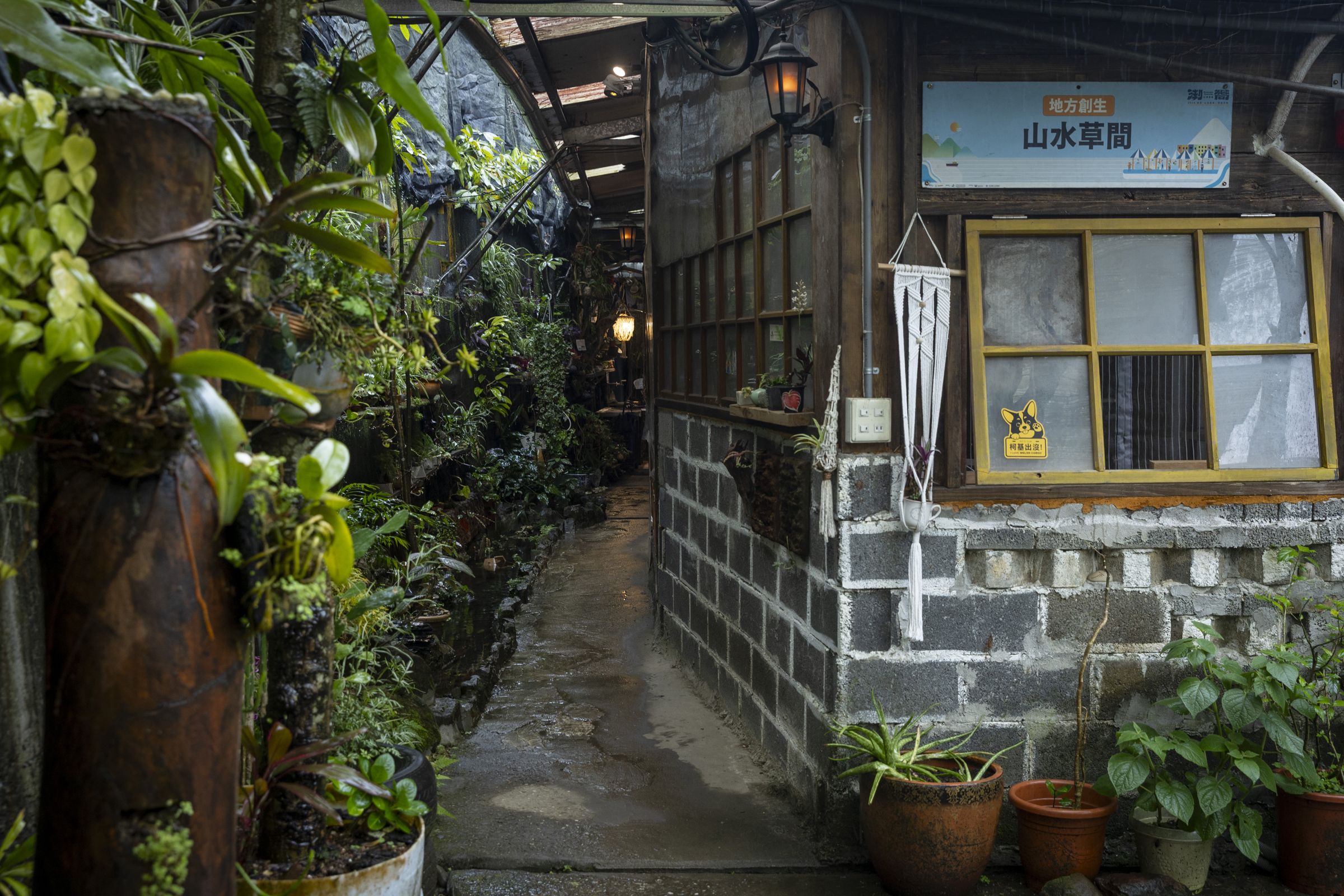 沿著溪流步道走讀七大水地景,至山水草間享用在地餐桌五行飯、藥膳湯,體驗手作植物敲染。