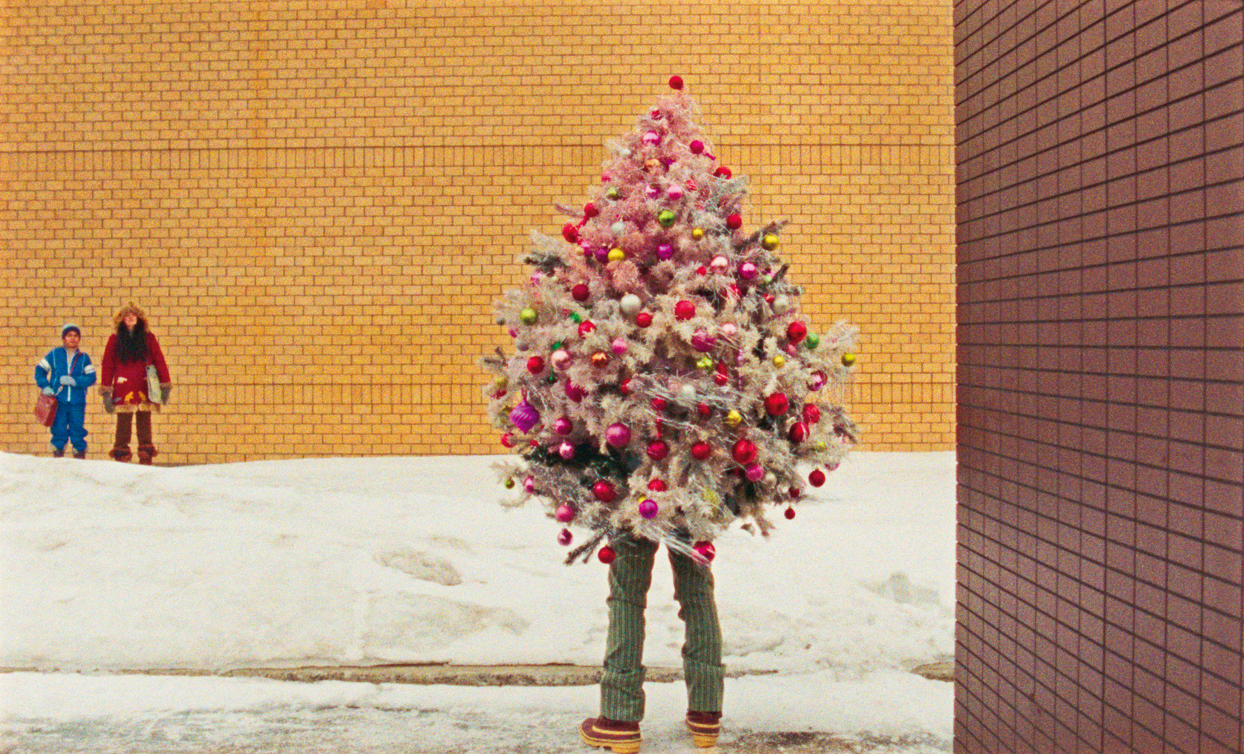 編導取材自身夢境、生活札記與家族軼事，在魔幻的現世謎城中編織詩意的人性寓言。（好威映象提供）