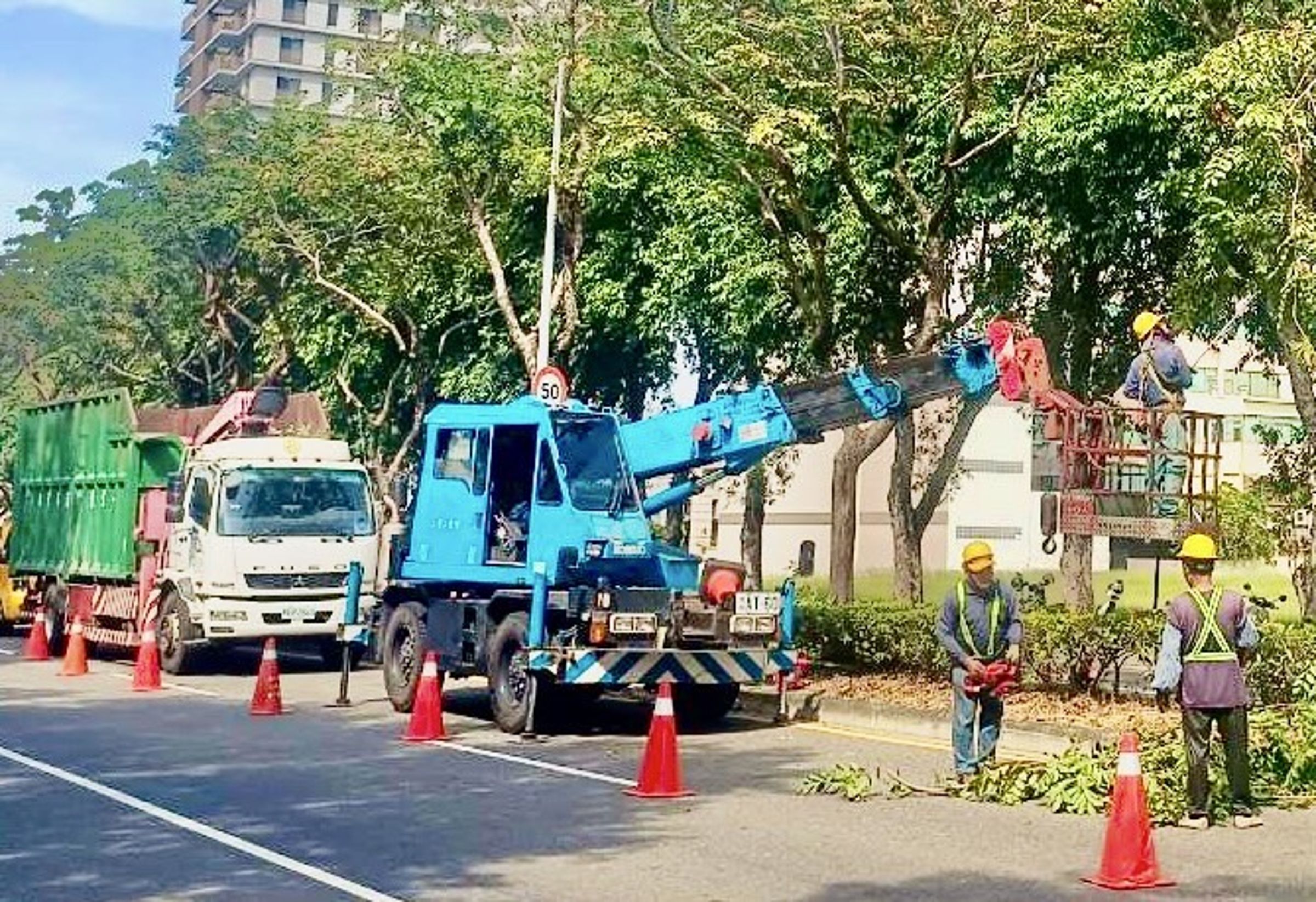 因應康芮颱風,環保局已加強修剪重點路段路樹。(南市府提供)