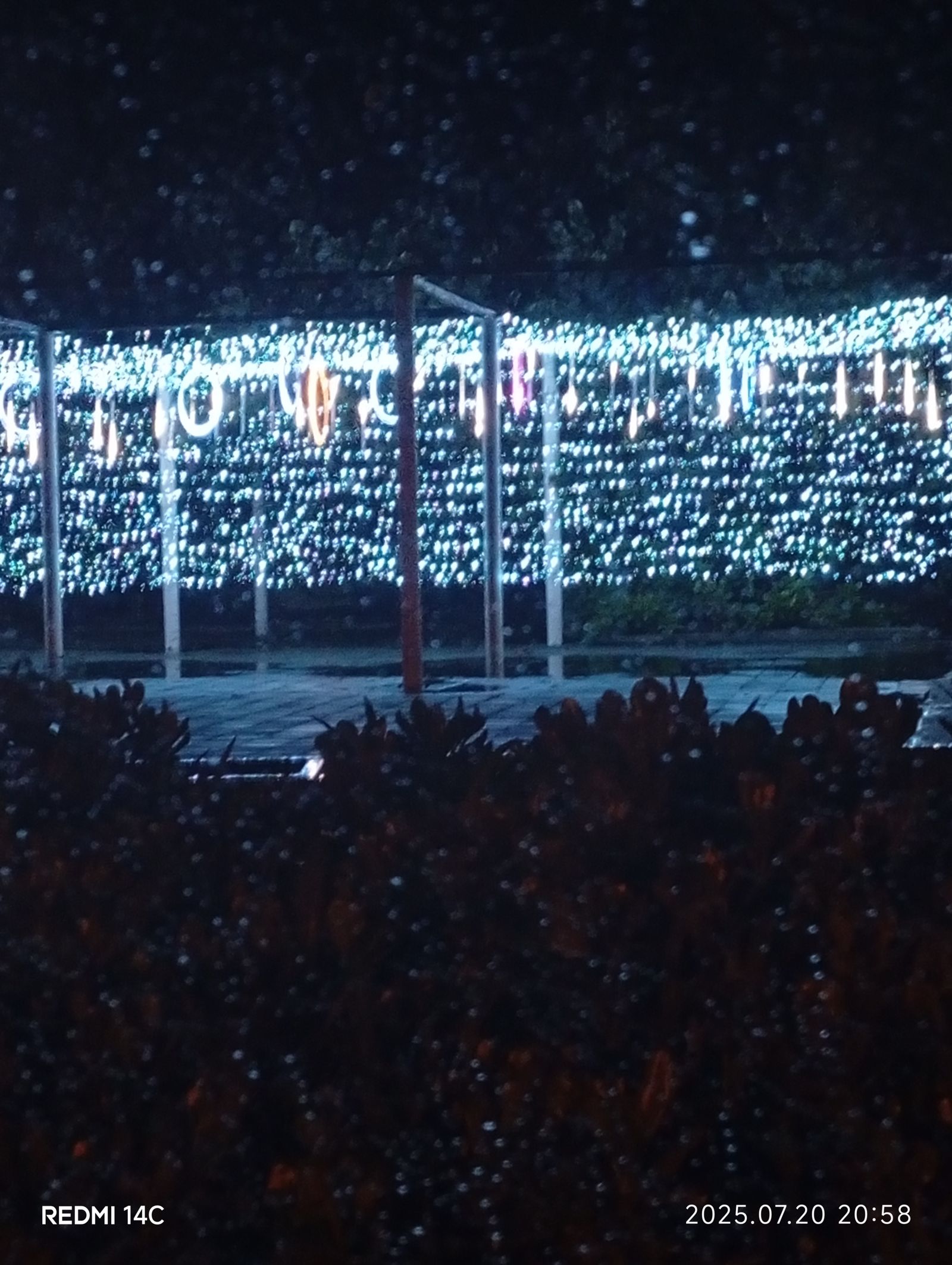 20日晚間8點58分，林男拍下遠方王功漁港夜景和附近璀璨燈飾牆，作為人生最後留影。（韓女提供）