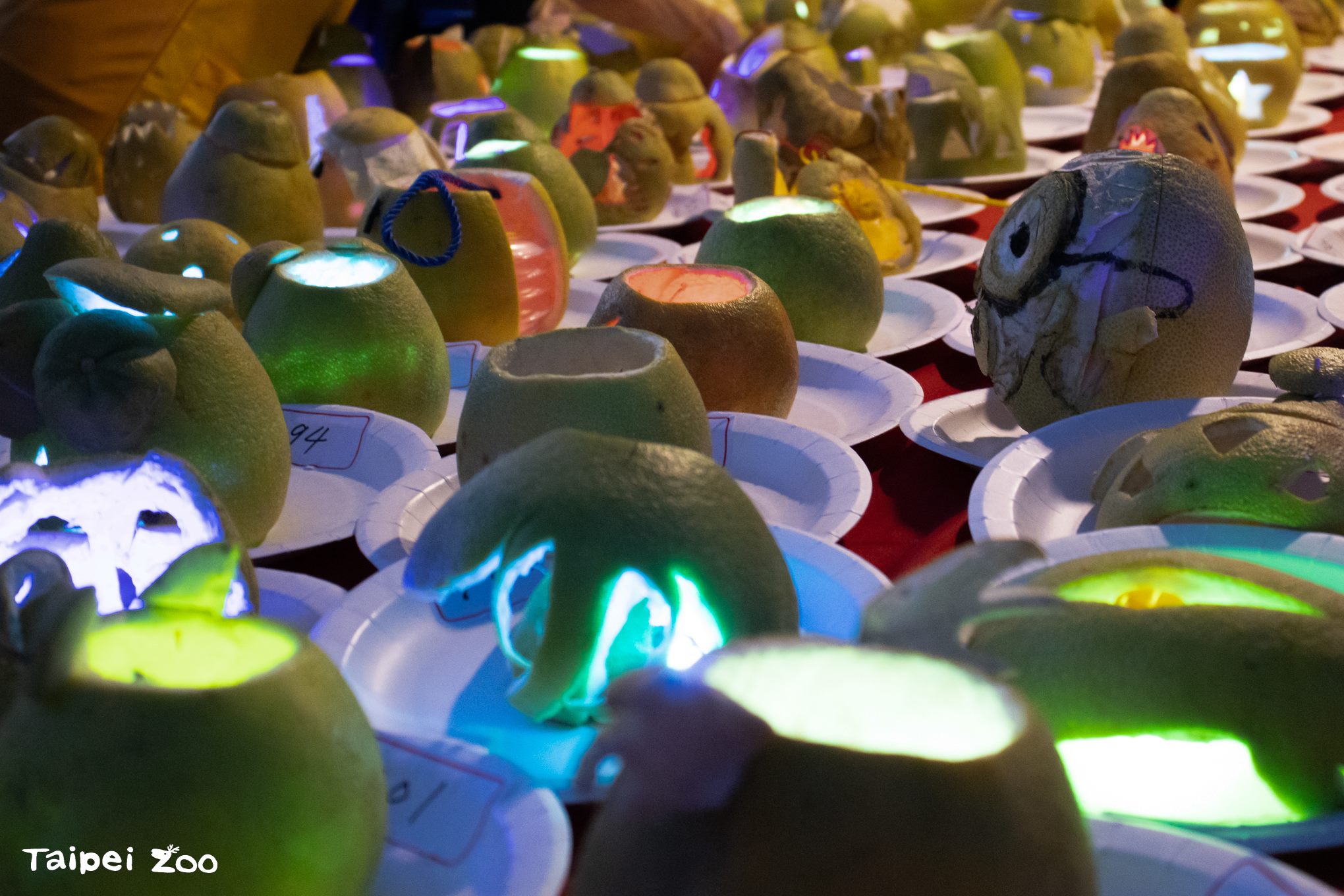 動物園今年再度推出刻柚燈DIY，還迎民眾一起發揮創意。（台北市立動物園提供）