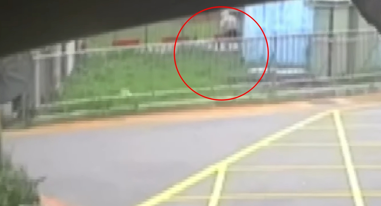 台中沙鹿一名20歲女大生遭17歲駱姓少年猛砍致死，犯案動機引發議論。（翻攝畫面）