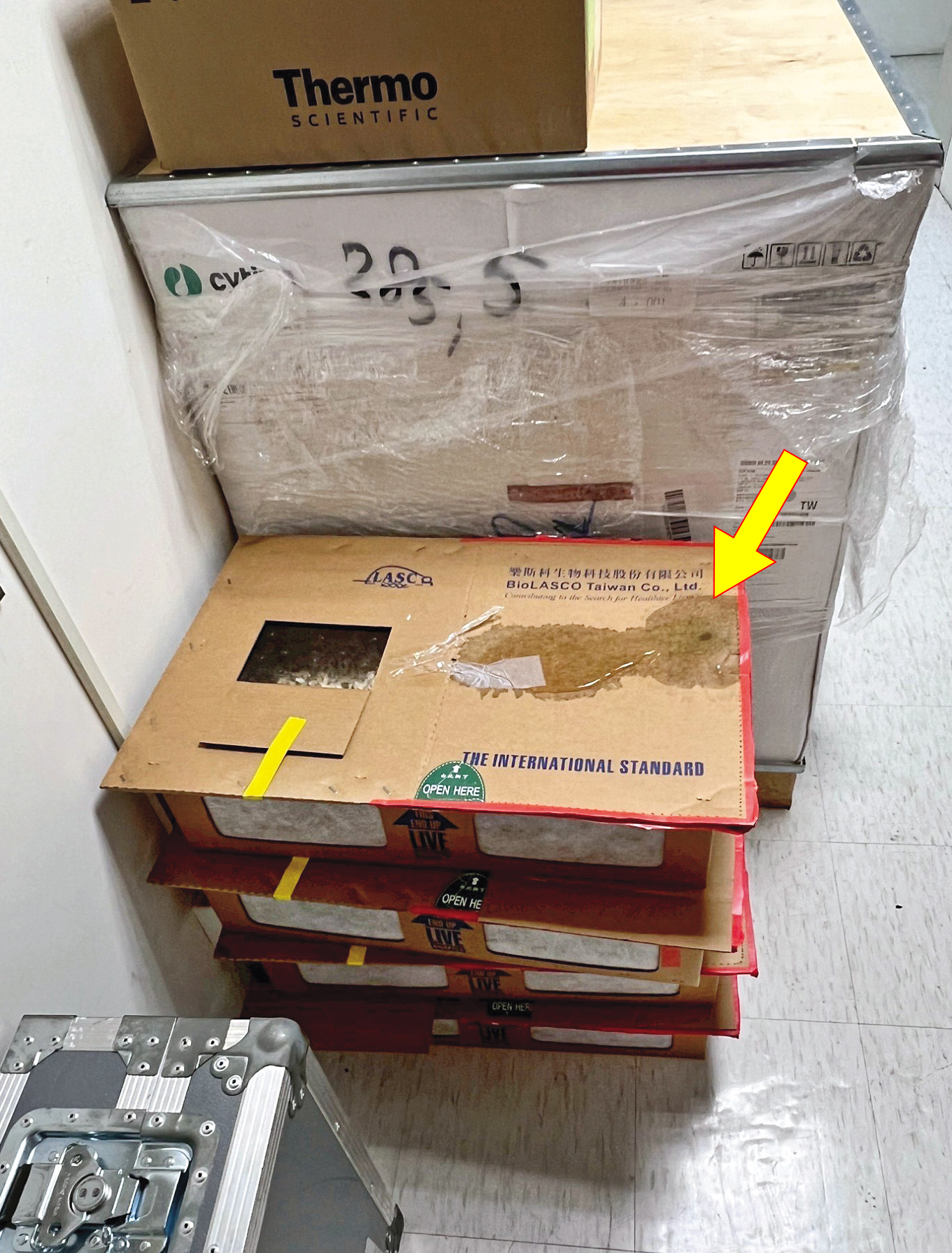裝白老鼠的紙箱被屎尿浸濕（箭頭處），還堆在地上好幾天。（讀者提供）