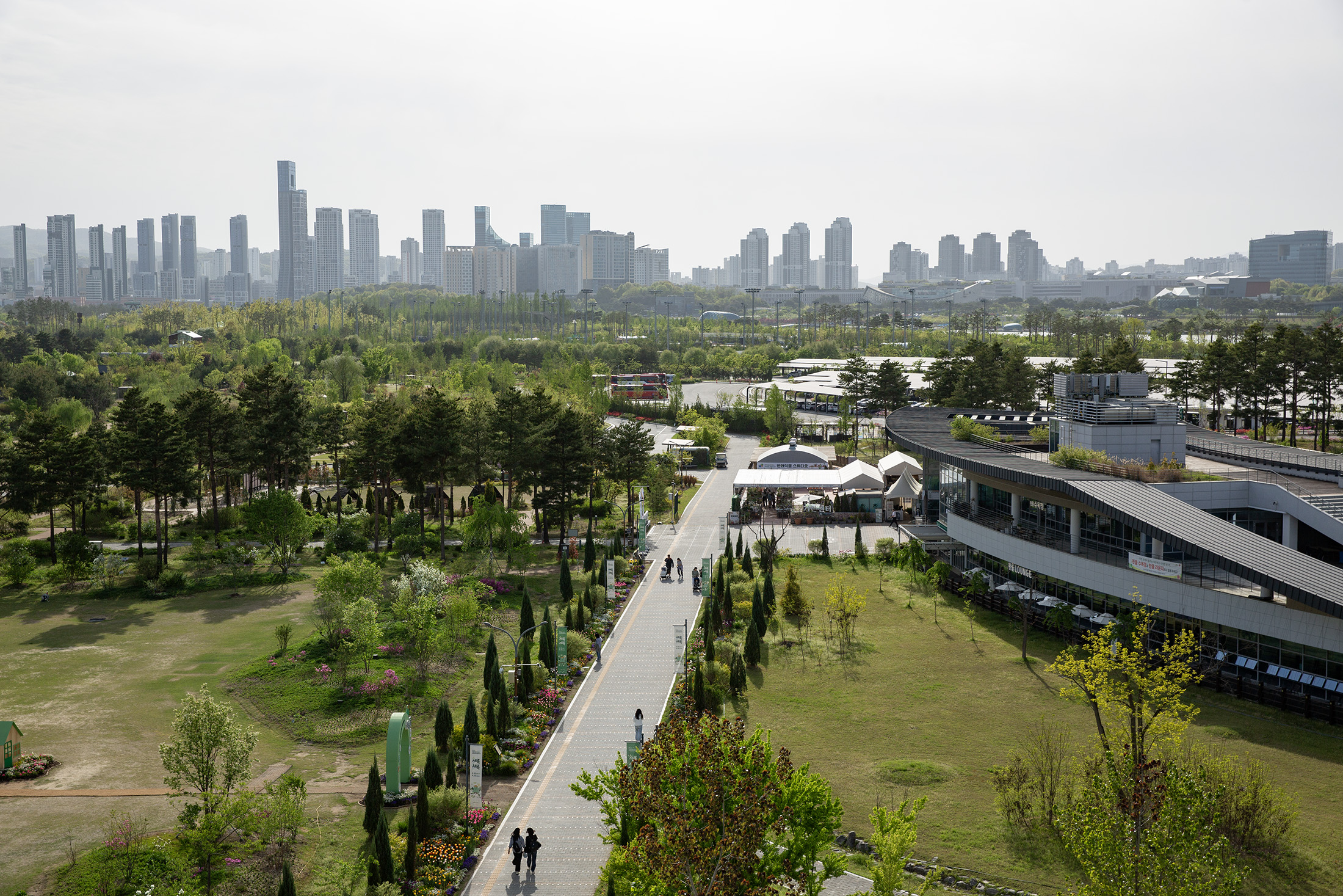 世宗湖水公園與中央公園串連成大片綠帶，是認識這座行政新都最好的起點。