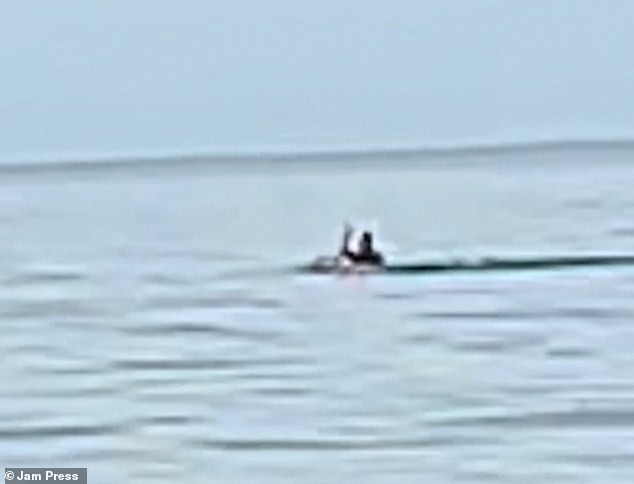 驚悚！母女戲水自拍意外錄下「鯊魚」吃人，男被斷腿慘死影片曝光。（翻自《每日郵報》）