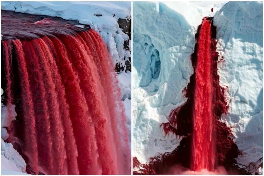 南極泰勒冰川(Taylor Glacier)的血瀑布(Blood Falls),因血紅色水流聞名。(翻攝自somewhereiwouldliketolive@IG)