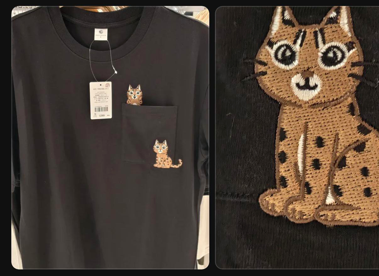 NET新款服裝爆抄襲「石虎抱抱」貼圖。（翻攝臉書粉專「石虎抱抱」）
