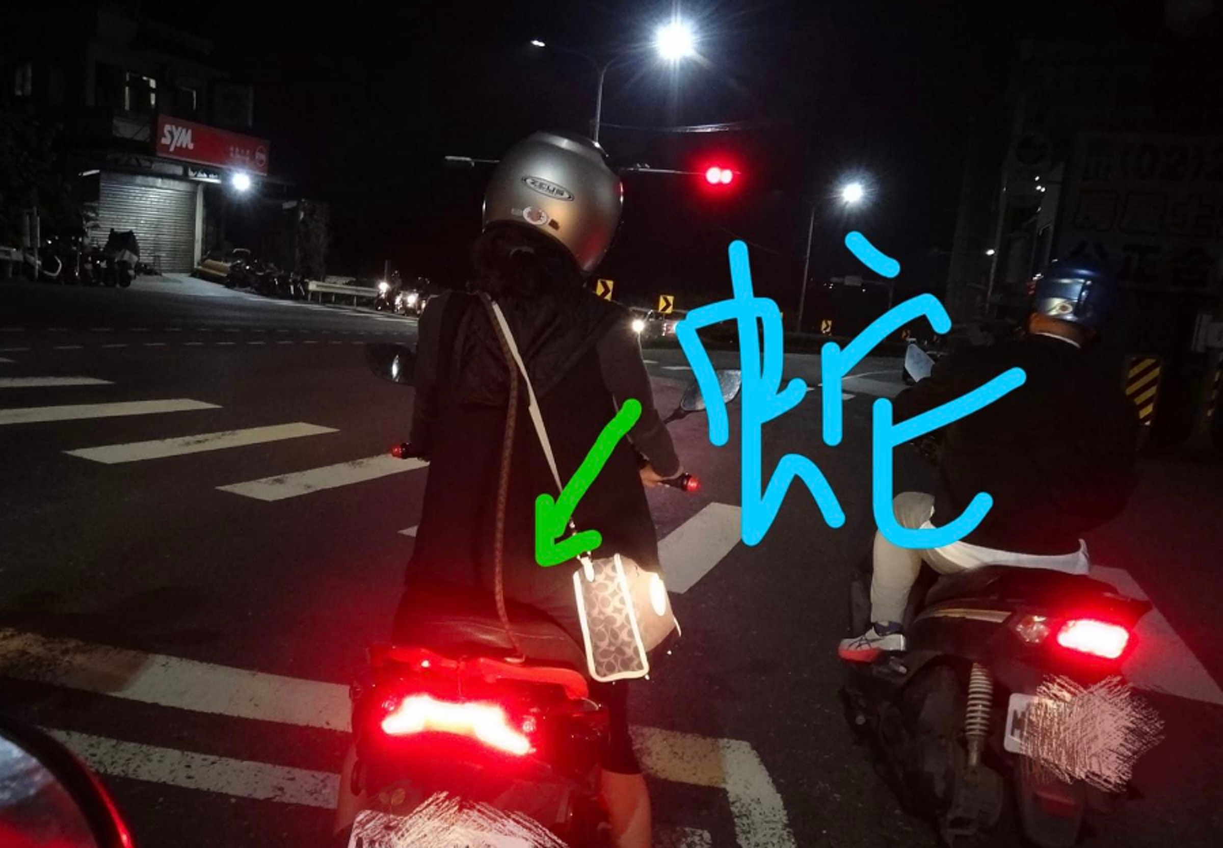 網友停等紅燈時,赫然發現前方女機車騎士背後爬上一條蛇。(翻攝臉書社團「阮厝住三芝」)