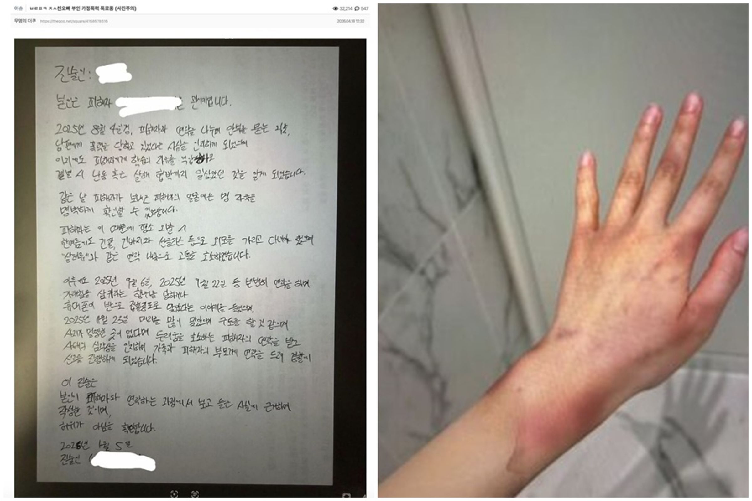 疑似Jisoo哥哥的妻子現身爆料長期遭到爆家暴、硬上。(翻攝自theqoo)