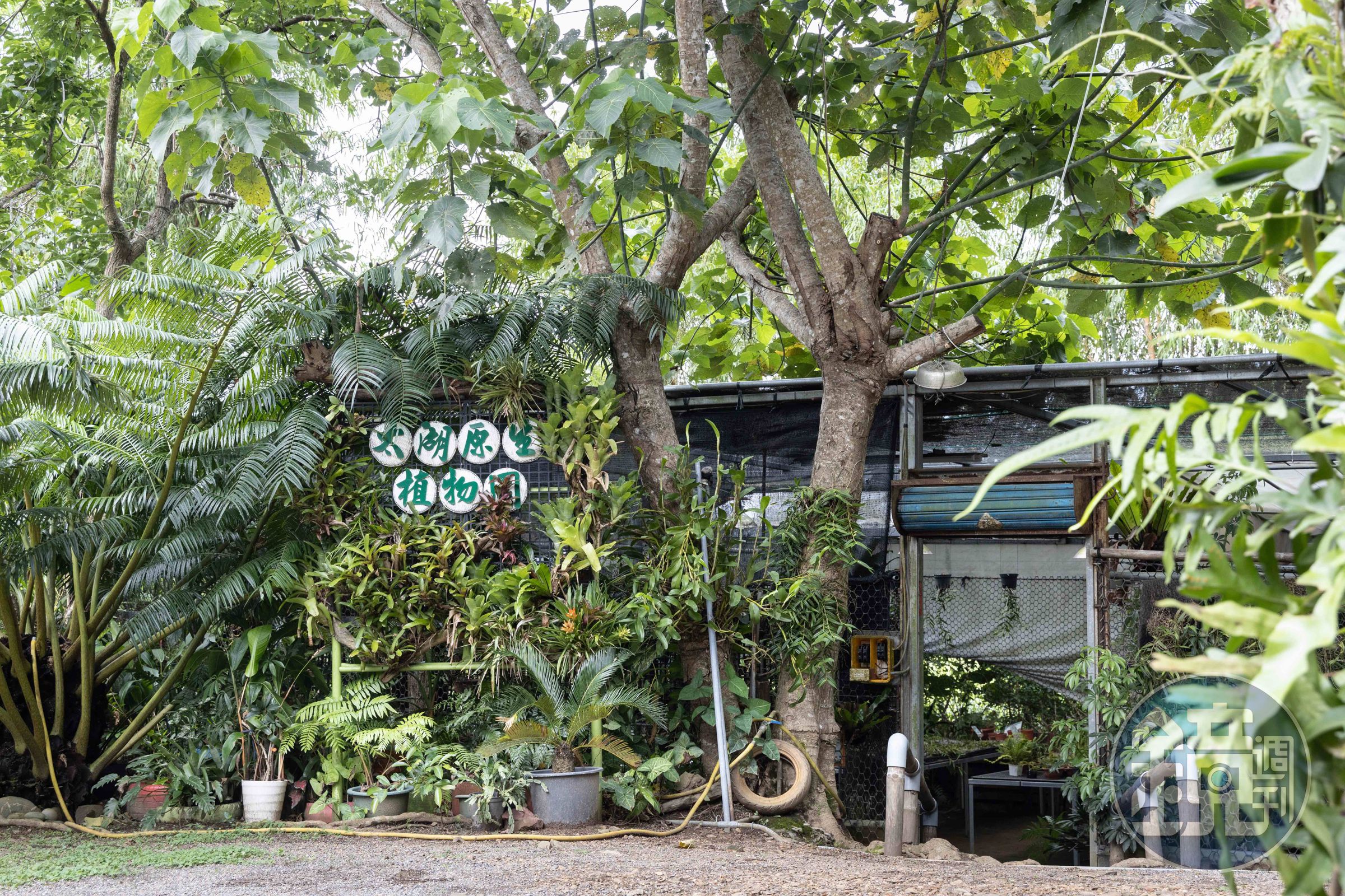 「太湖原生植物園」位於山豬窟，是一處保有高度完整性原生森林的生態區域，植物種類非常豐富，特別是殼斗科植物密度高。