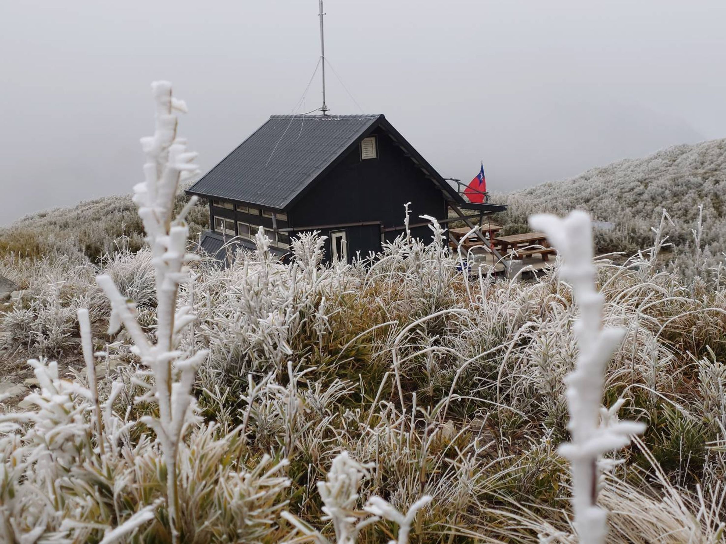 雪霸國家公園3,000公尺以上的山頭已降下薄薄冰霰,臉書粉專曬出多張美景照。(翻攝自雪霸國家公園臉書粉專)