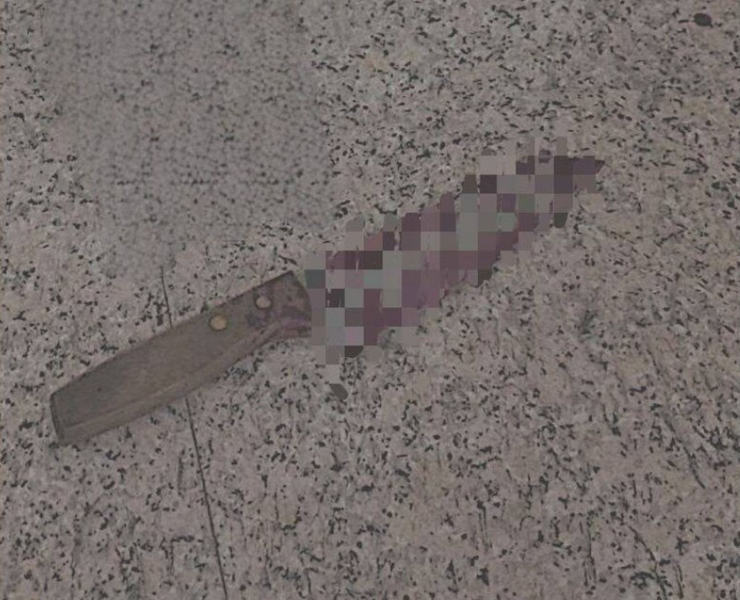 豆男一氣之下持菜刀刺死阮男。（警方提供）