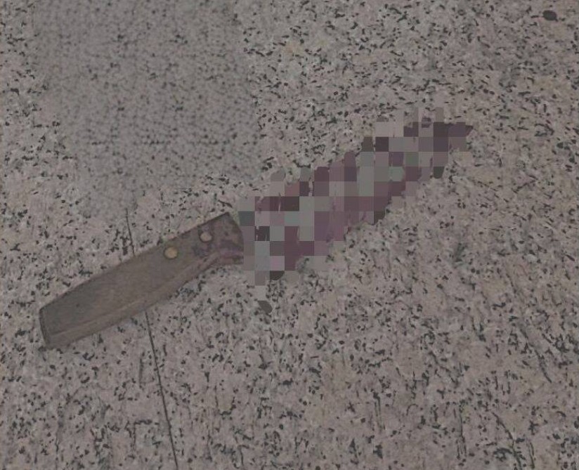 豆男一氣之下持菜刀刺死阮男。（警方提供）