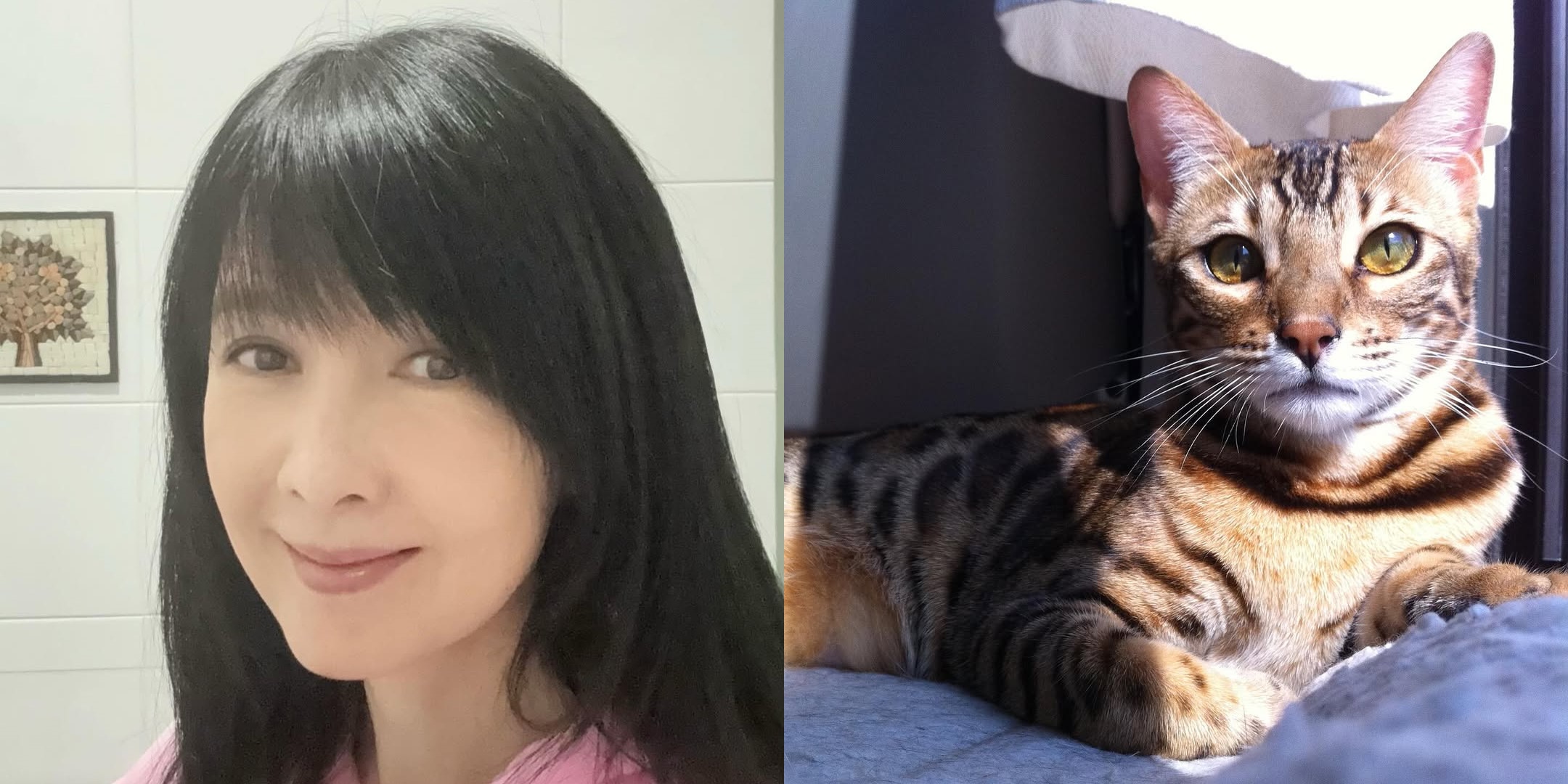 周慧敏與愛貓豬皮。（翻攝自周慧敏instagram）