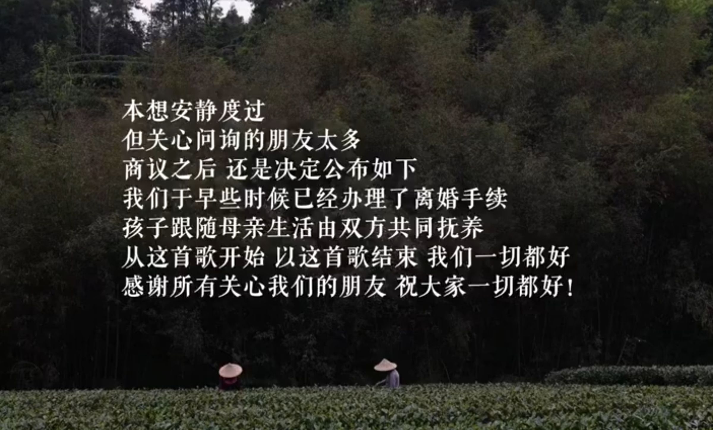 李亞鵬與海哈金喜今(14日)稍早於微博發布一段影片,宣布已離婚的消息。(翻攝自微博@海哈金喜)