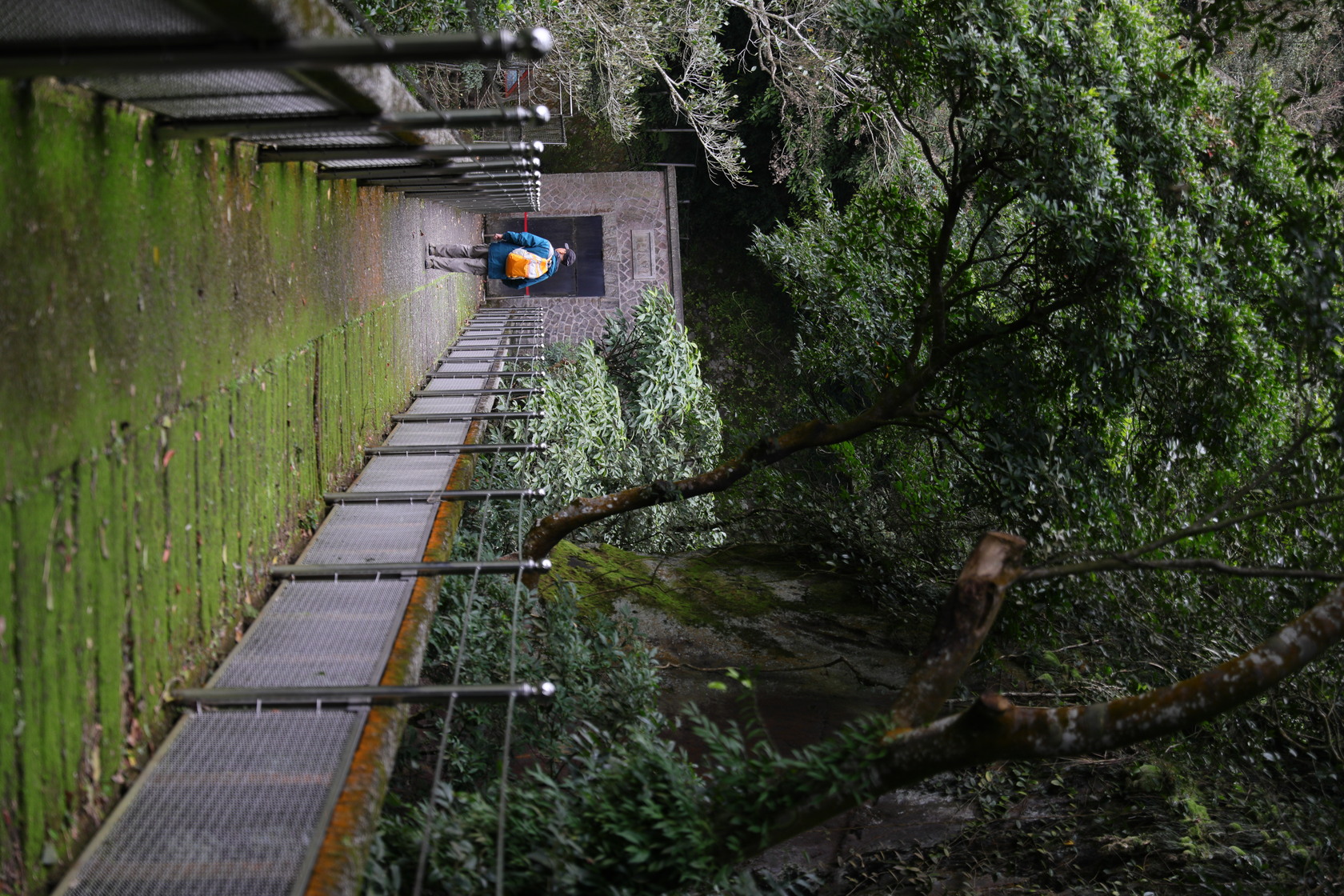 百年前的草山水道系統的水管橋已有將水源「分流」的概念,右側地表水水管用磚頭鋪蓋,方便修繕。