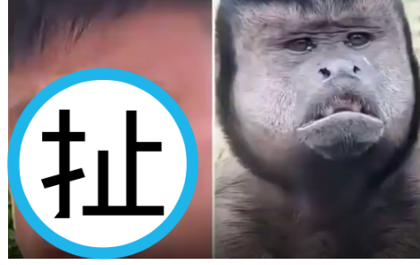 一名男子撞臉動物園醜萌猴！網友直呼越看越像。（翻攝自微博）