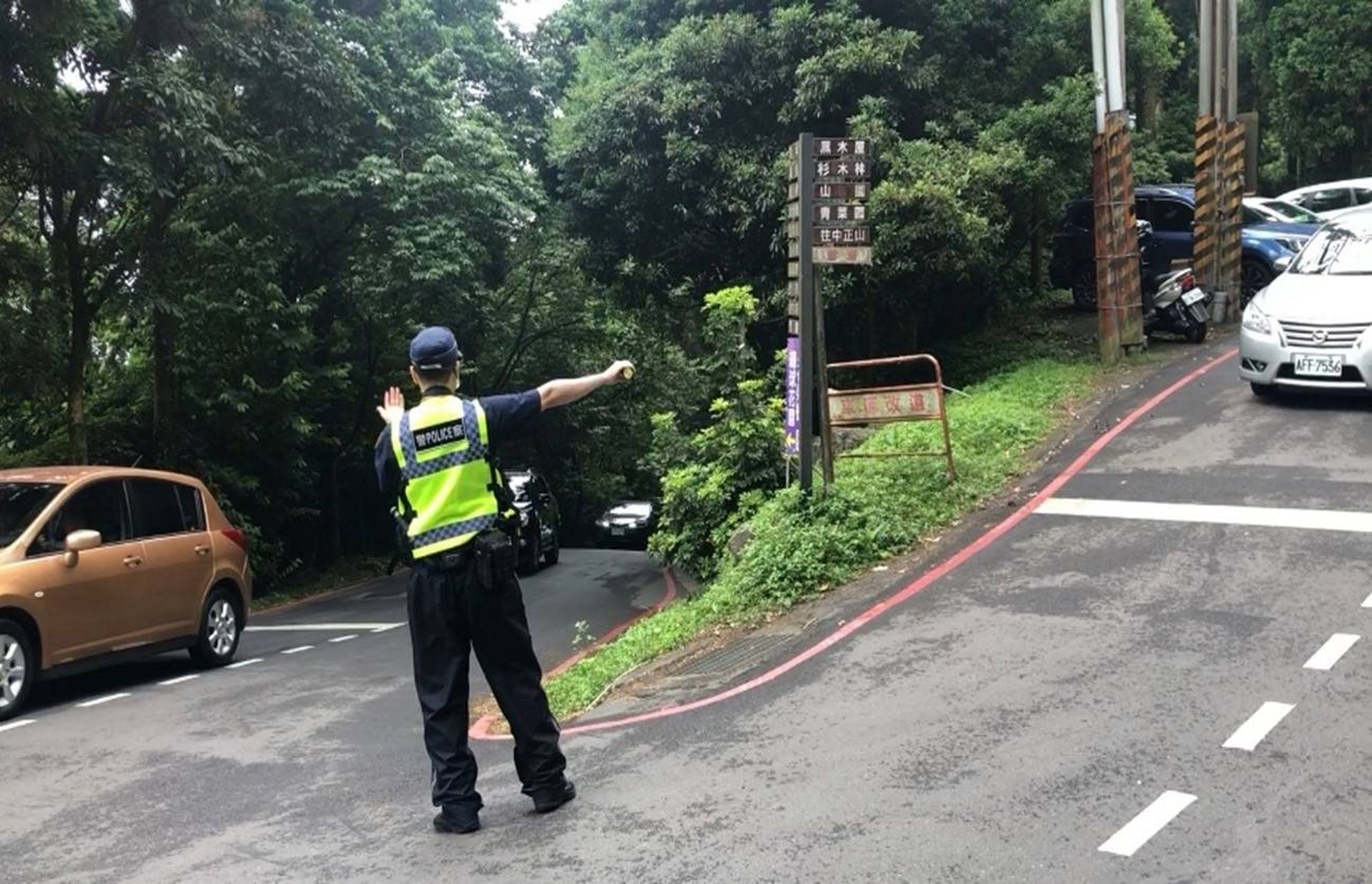陽明山「海芋、繡球花」盛開,警方公布交通管制措施。(警方提供)
