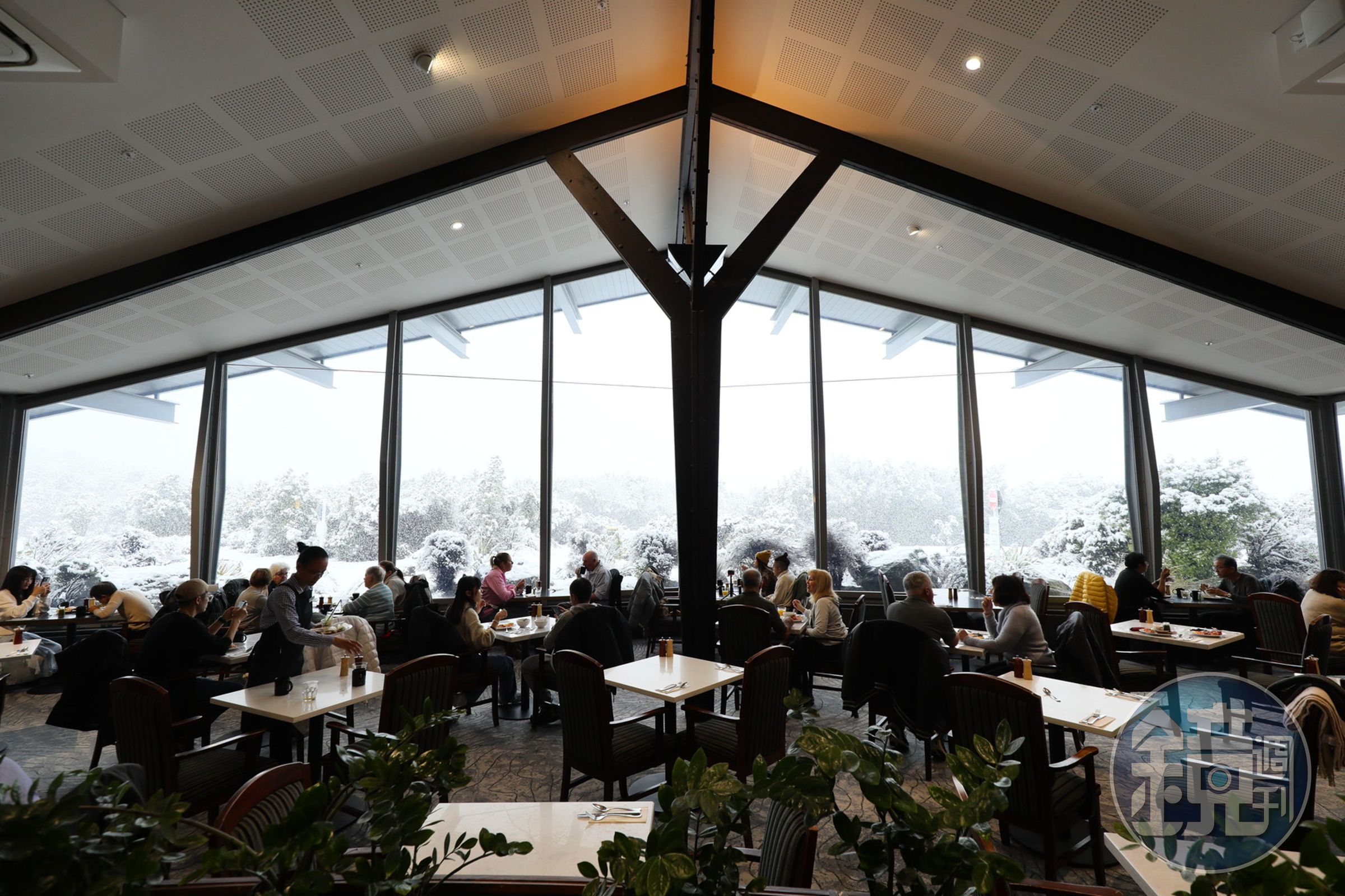 隱世飯店唯一的餐廳Alpine,最引人入勝的是大面窗景可欣賞庫克山國家公園千變萬化景色。