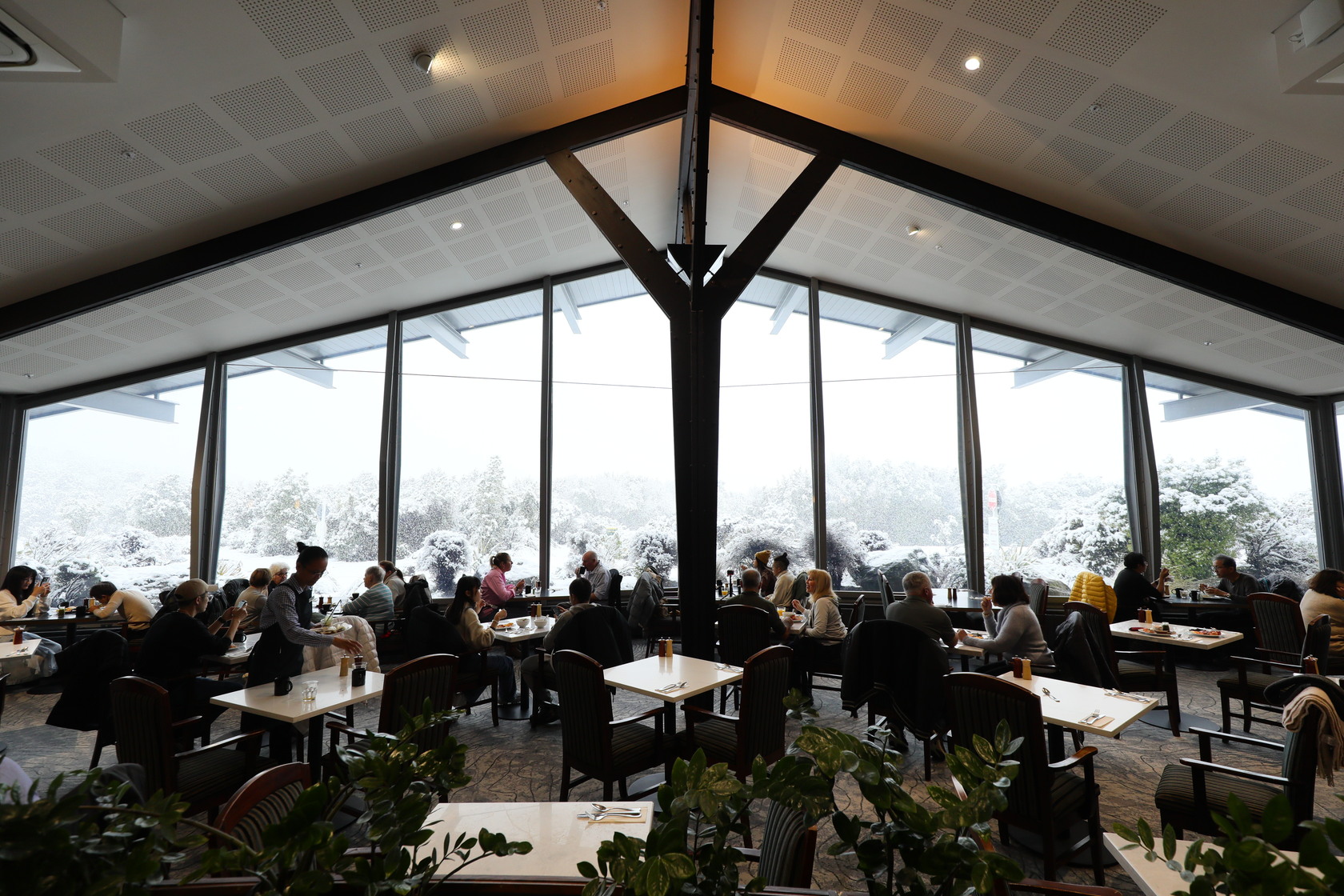 隱世飯店唯一的餐廳Alpine，最引人入勝的是大面窗景可欣賞庫克山國家公園千變萬化景色。