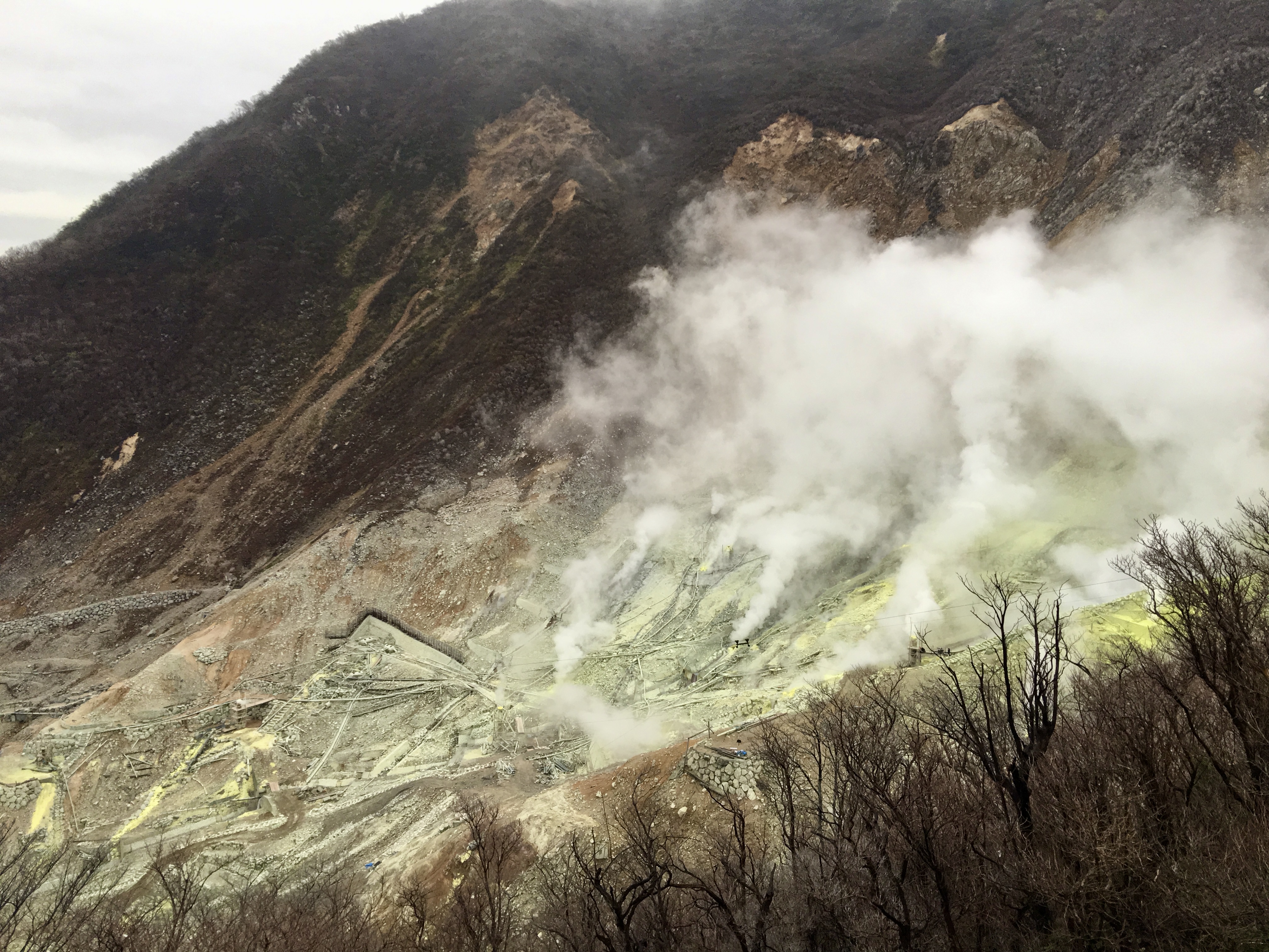 箱根每年約有2千萬遊客造訪，知名火山景點大涌谷也是大家必到之處。